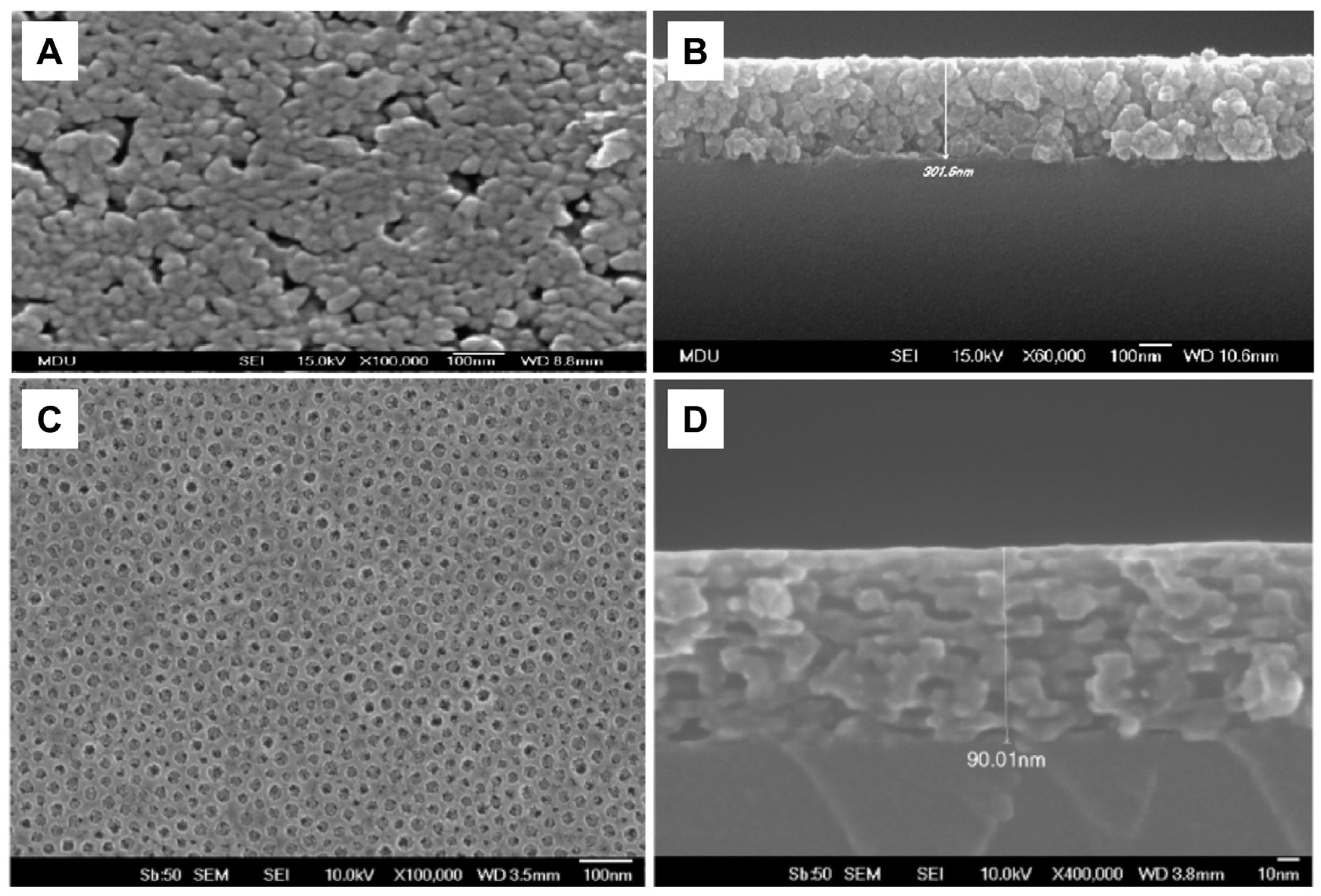 Ijms 26 10593 g016 Ijms 26 10593 g016