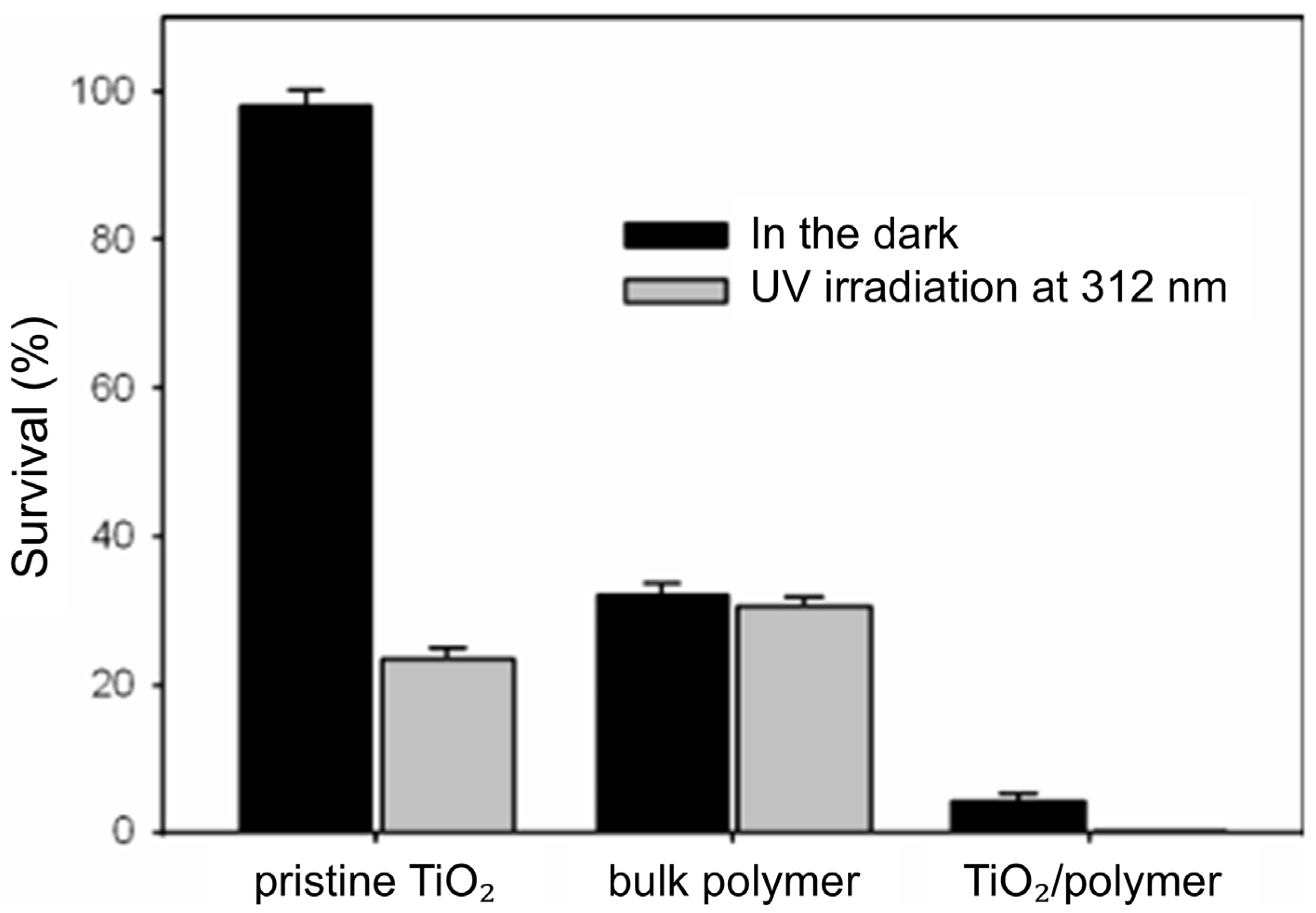 Ijms 26 10593 g018 Ijms 26 10593 g018