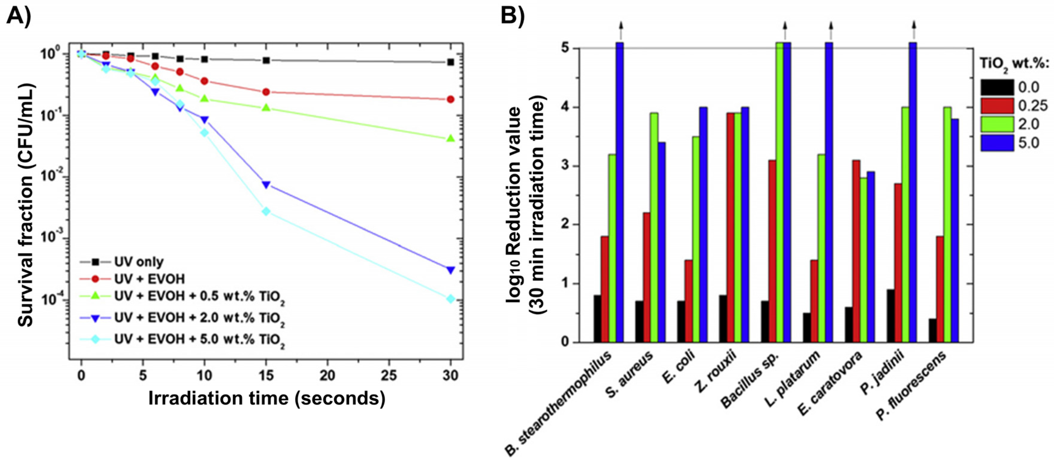 Ijms 26 10593 g021 Ijms 26 10593 g021