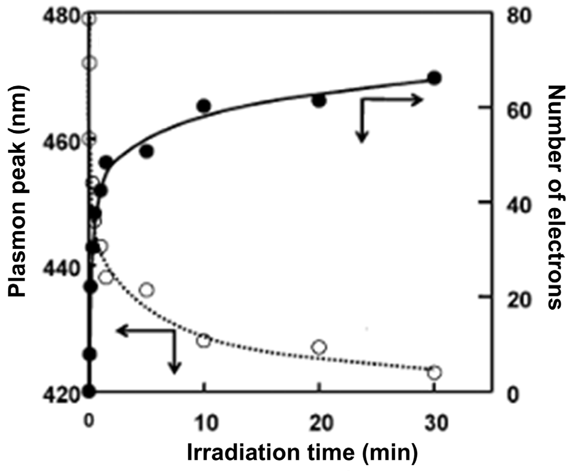 Ijms 26 10593 g022 Ijms 26 10593 g022