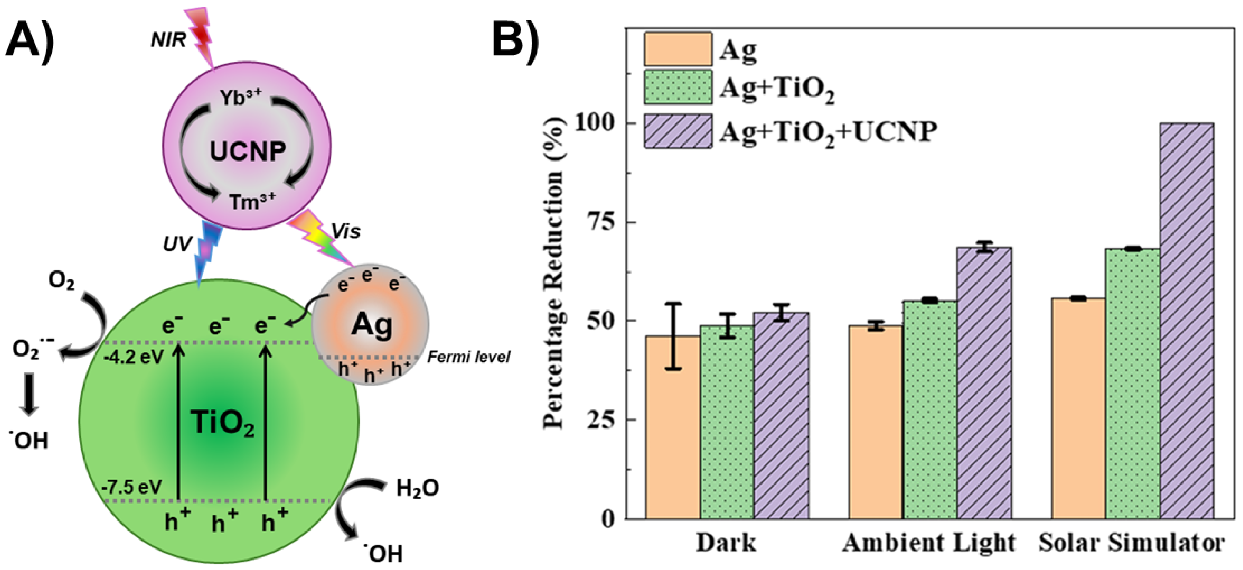 Ijms 26 10593 g028 Ijms 26 10593 g028