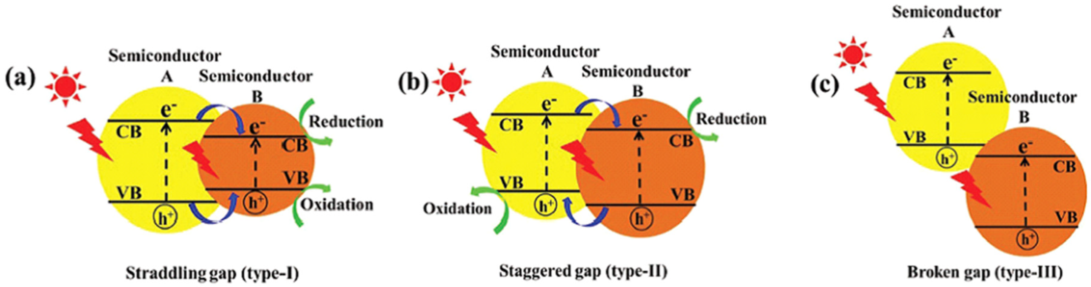 Ijms 26 10593 g029 Ijms 26 10593 g029