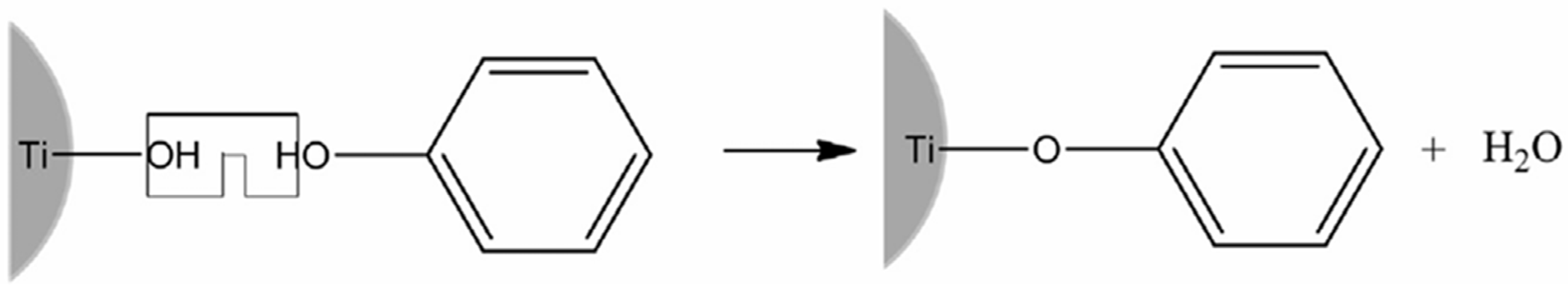 Ijms 26 10593 g033 Ijms 26 10593 g033