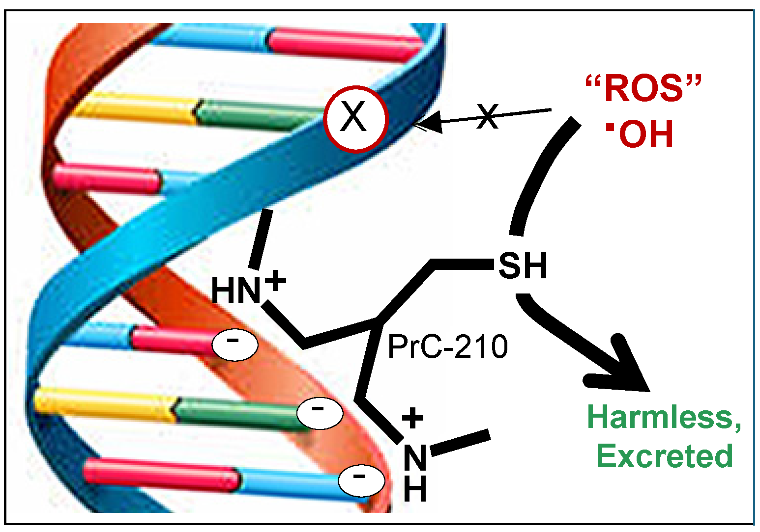 Ijms 26 10597 g001 Ijms 26 10597 g001