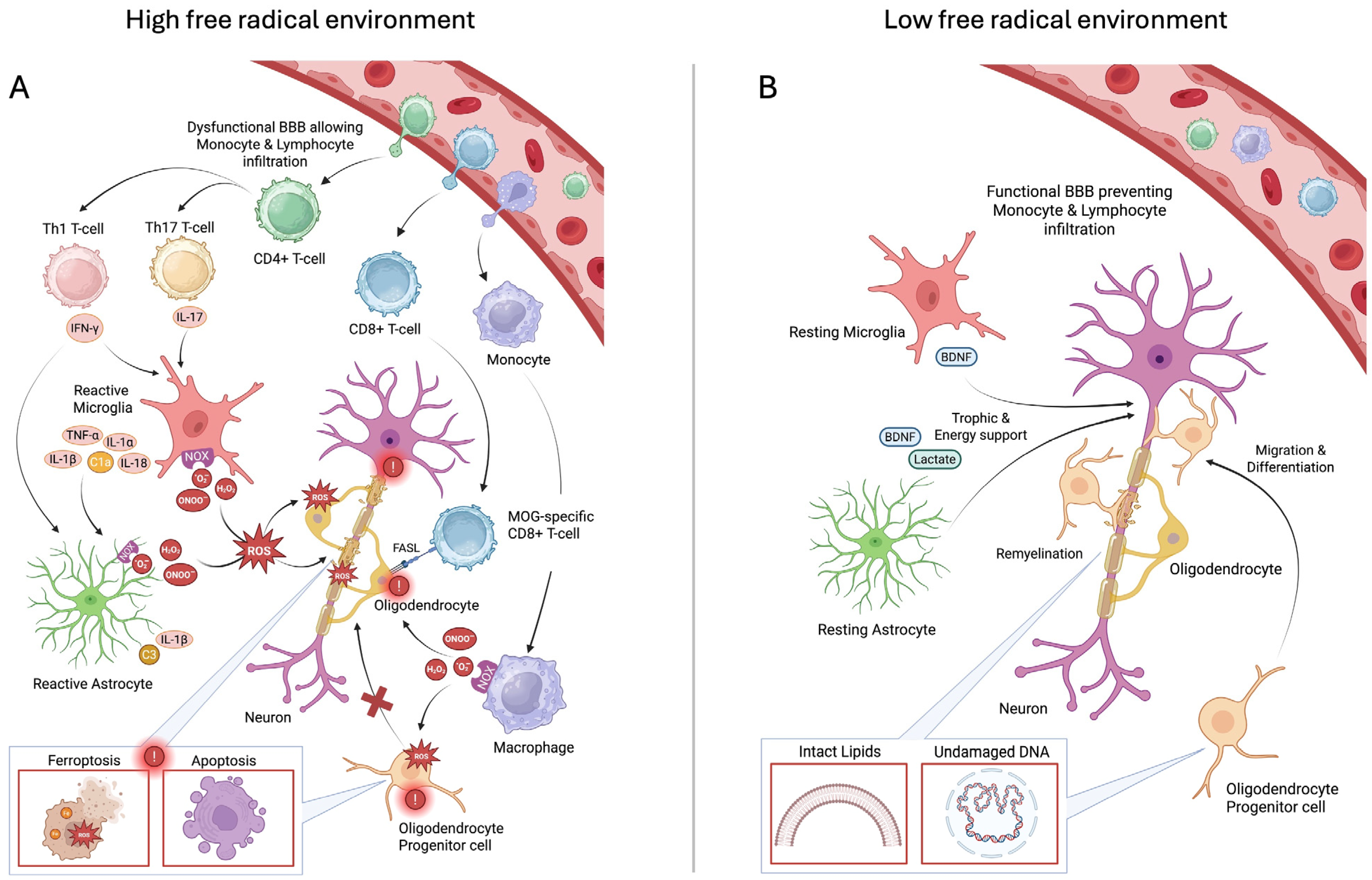 Ijms 26 10597 g013 Ijms 26 10597 g013