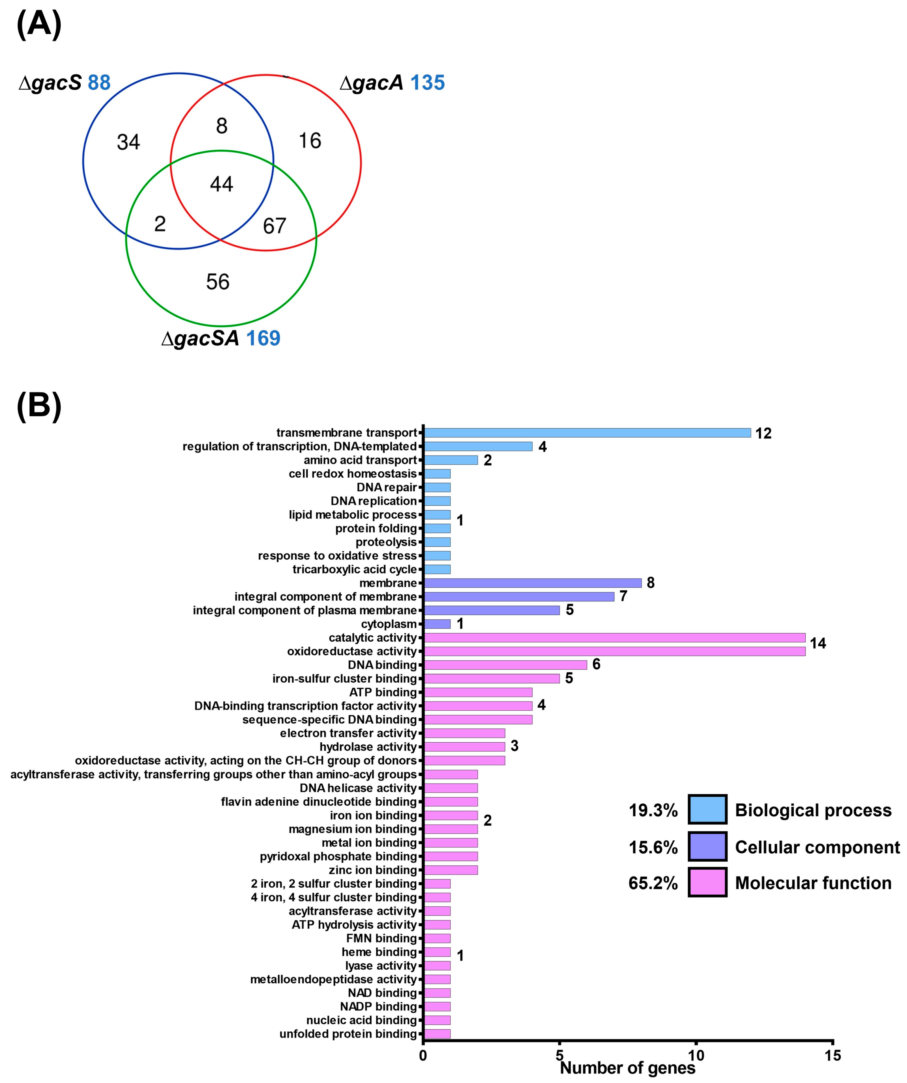 Ijms 26 10620 g001a Ijms 26 10620 g001a