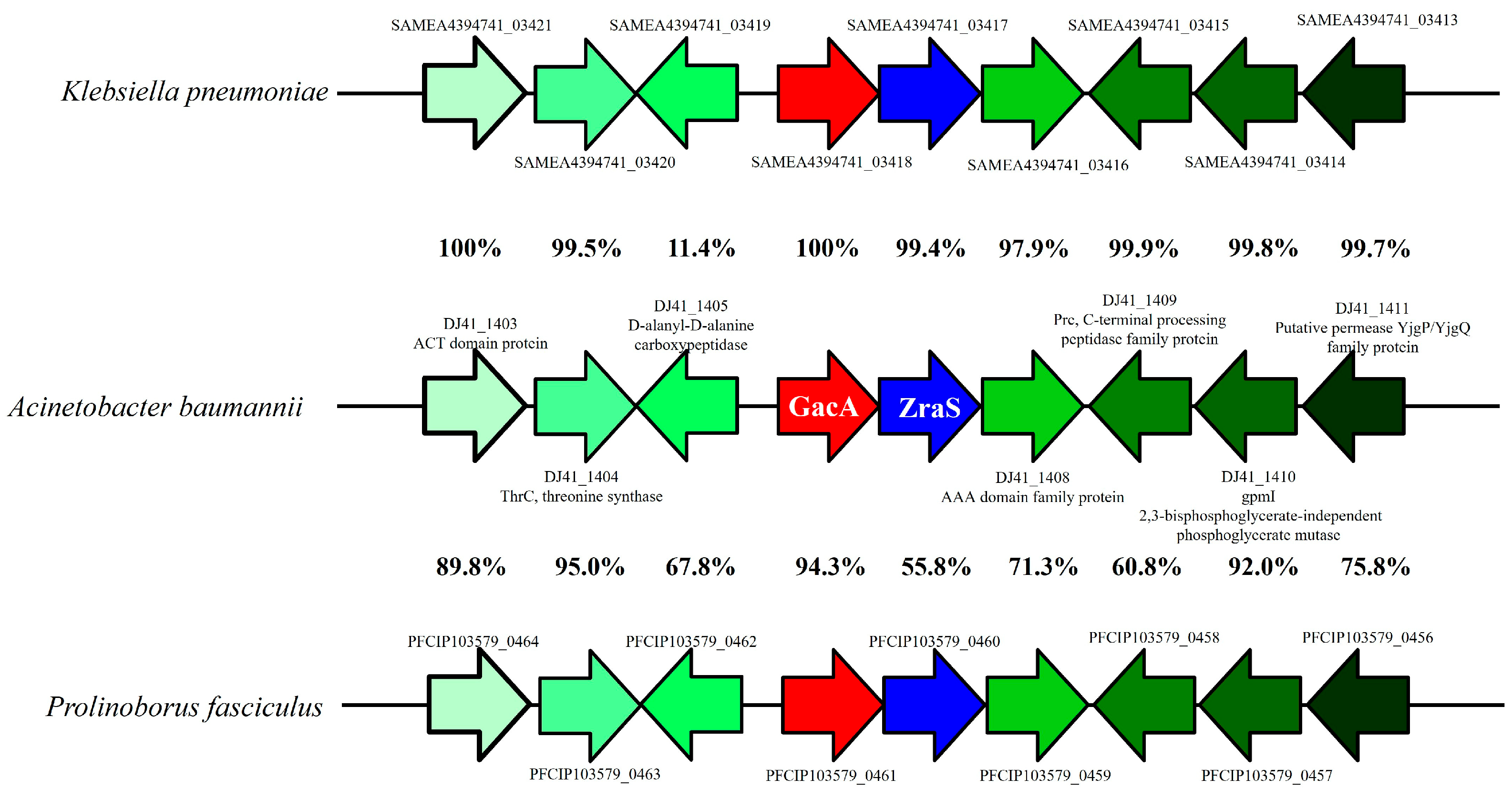 Ijms 26 10620 g002 Ijms 26 10620 g002