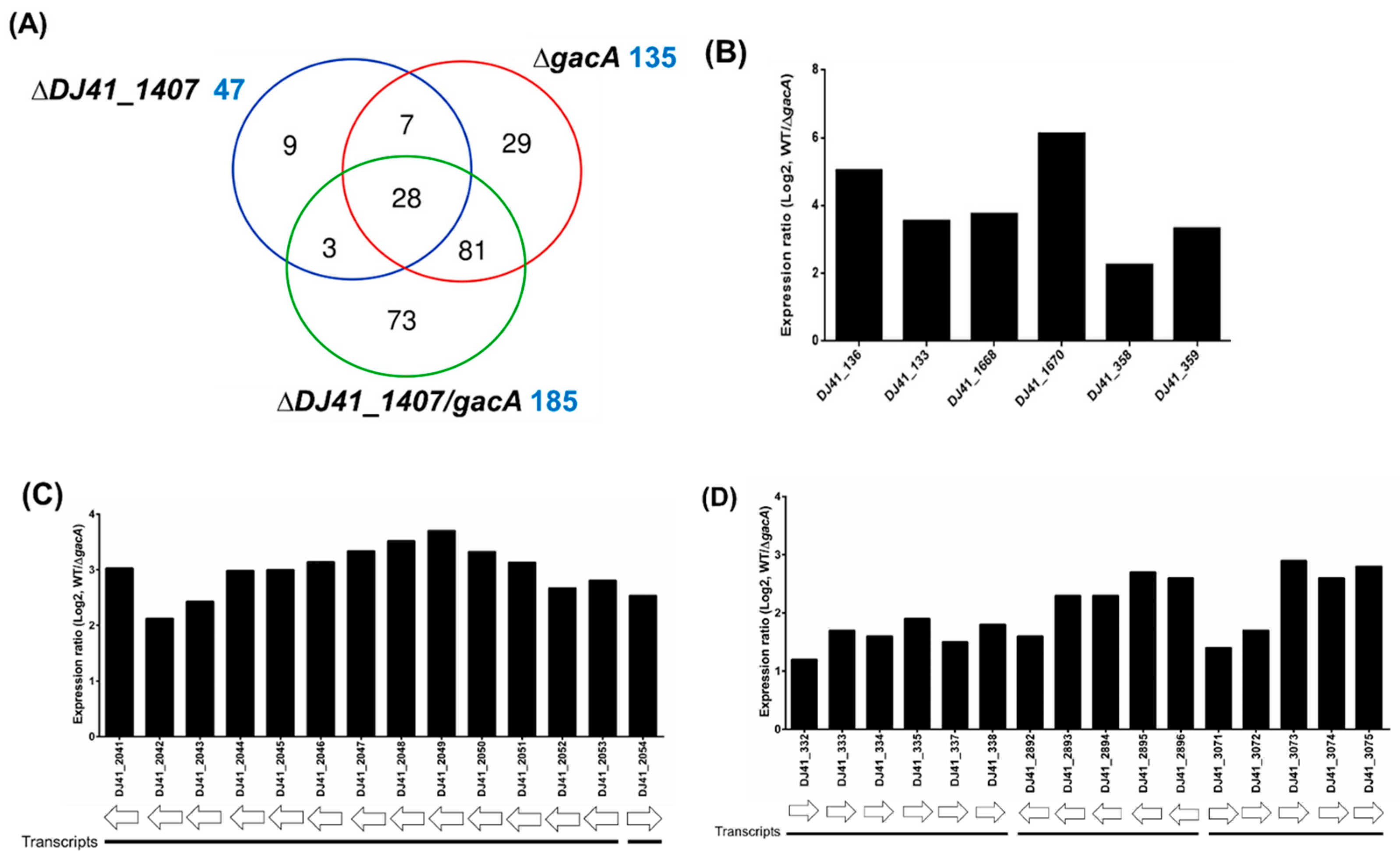 Ijms 26 10620 g004 Ijms 26 10620 g004