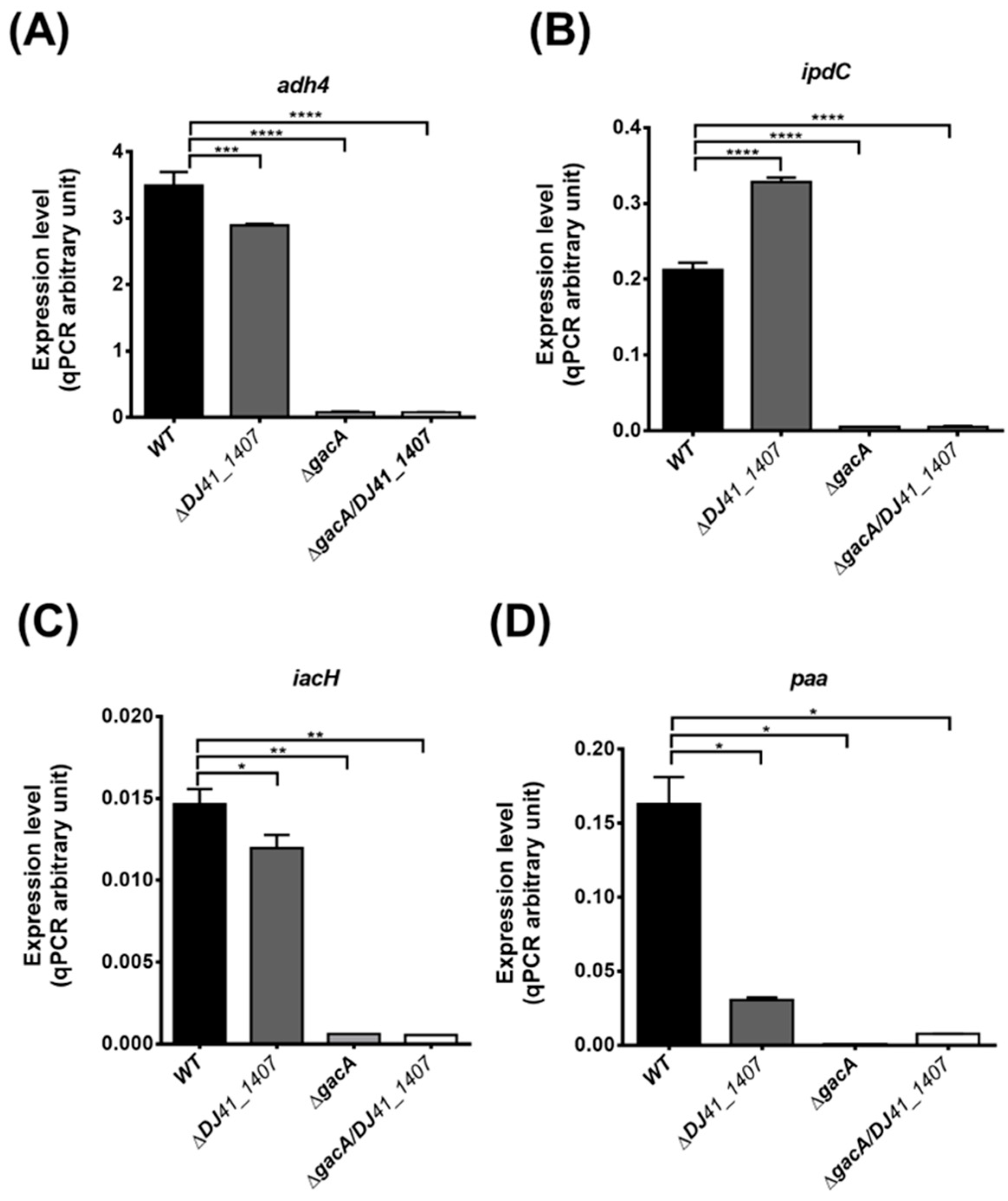 Ijms 26 10620 g005 Ijms 26 10620 g005