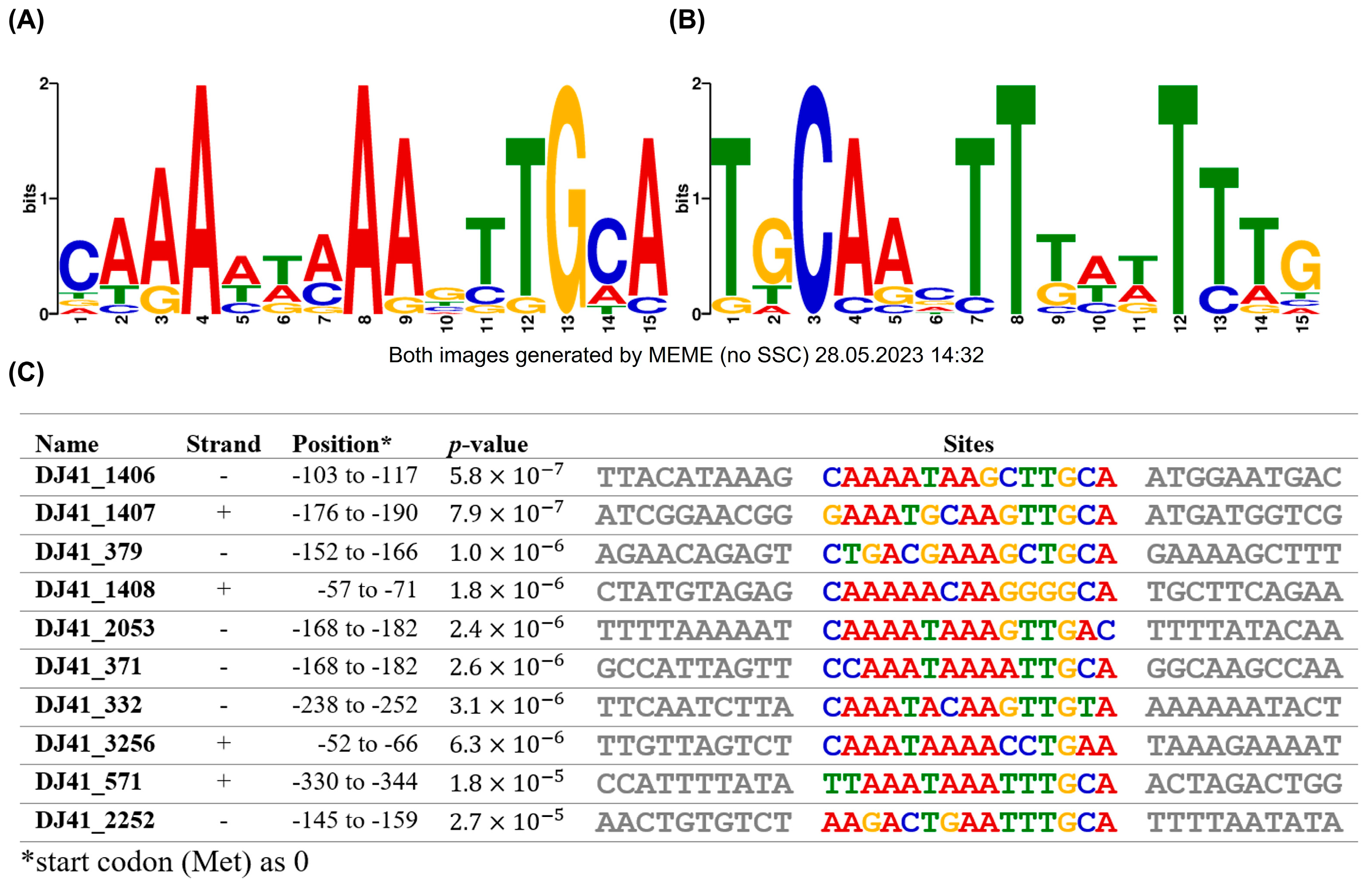 Ijms 26 10620 g006 Ijms 26 10620 g006