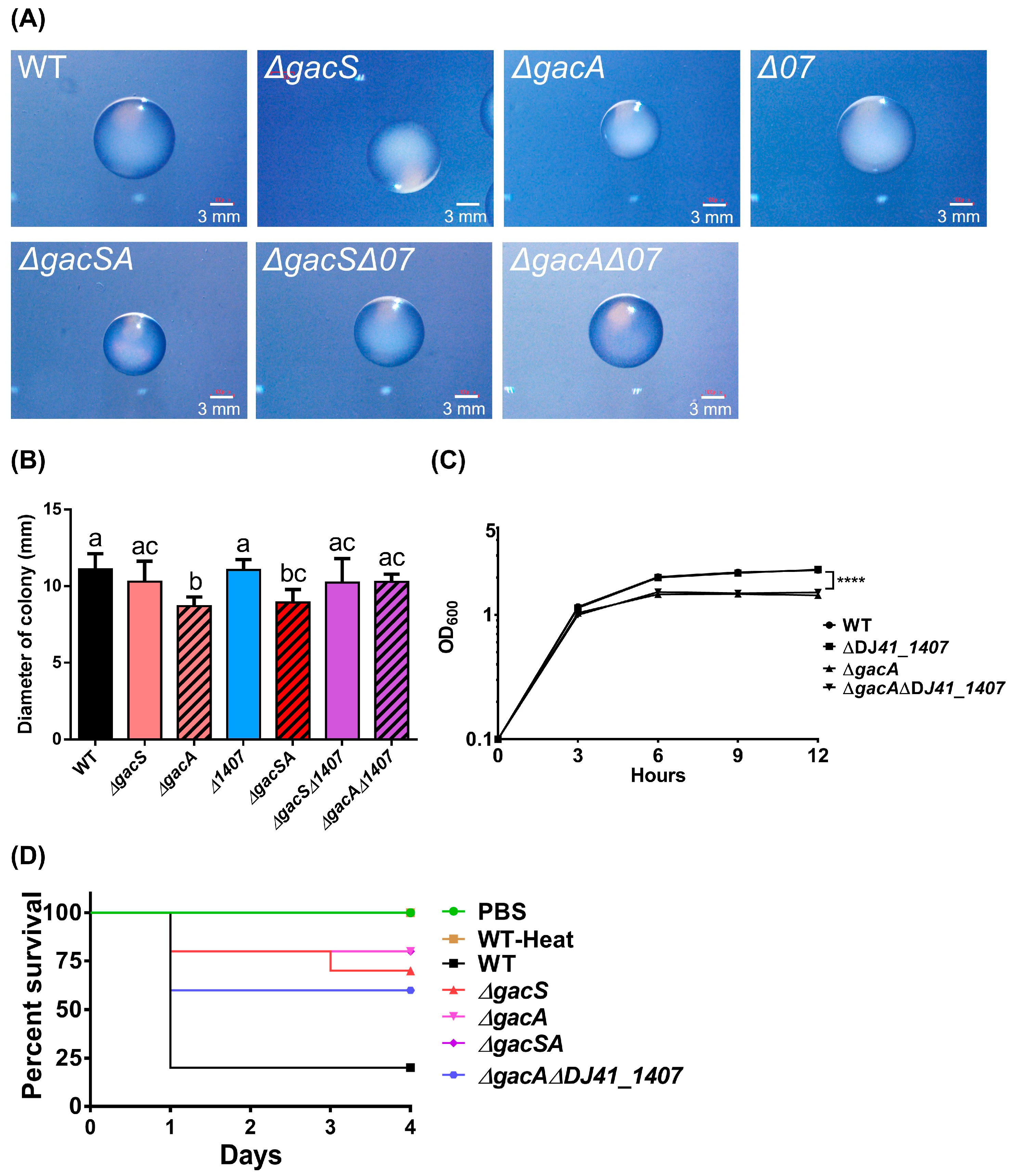 Ijms 26 10620 g007 Ijms 26 10620 g007