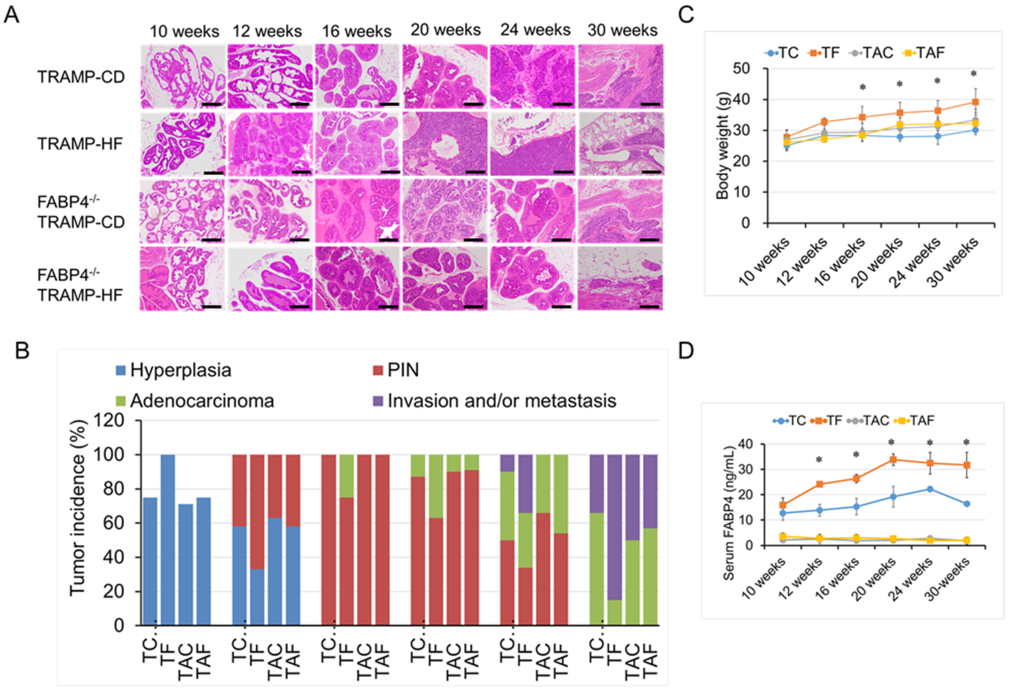 Ijms 26 10621 g002 Ijms 26 10621 g002