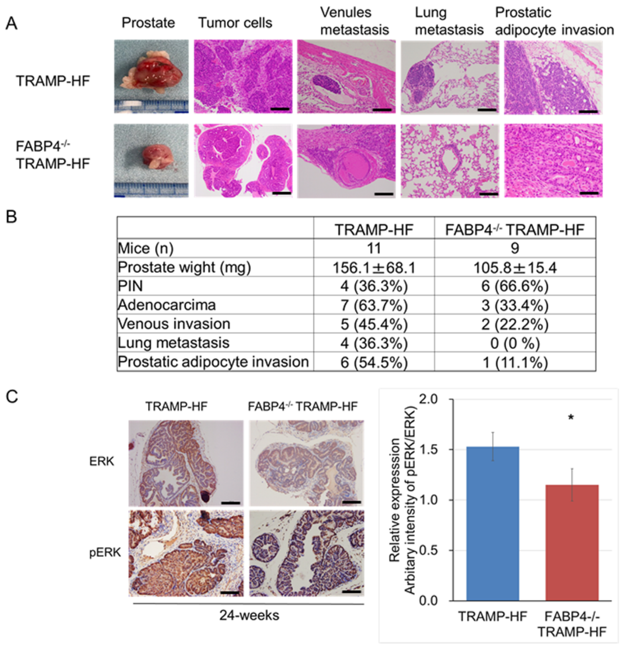 Ijms 26 10621 g003 Ijms 26 10621 g003