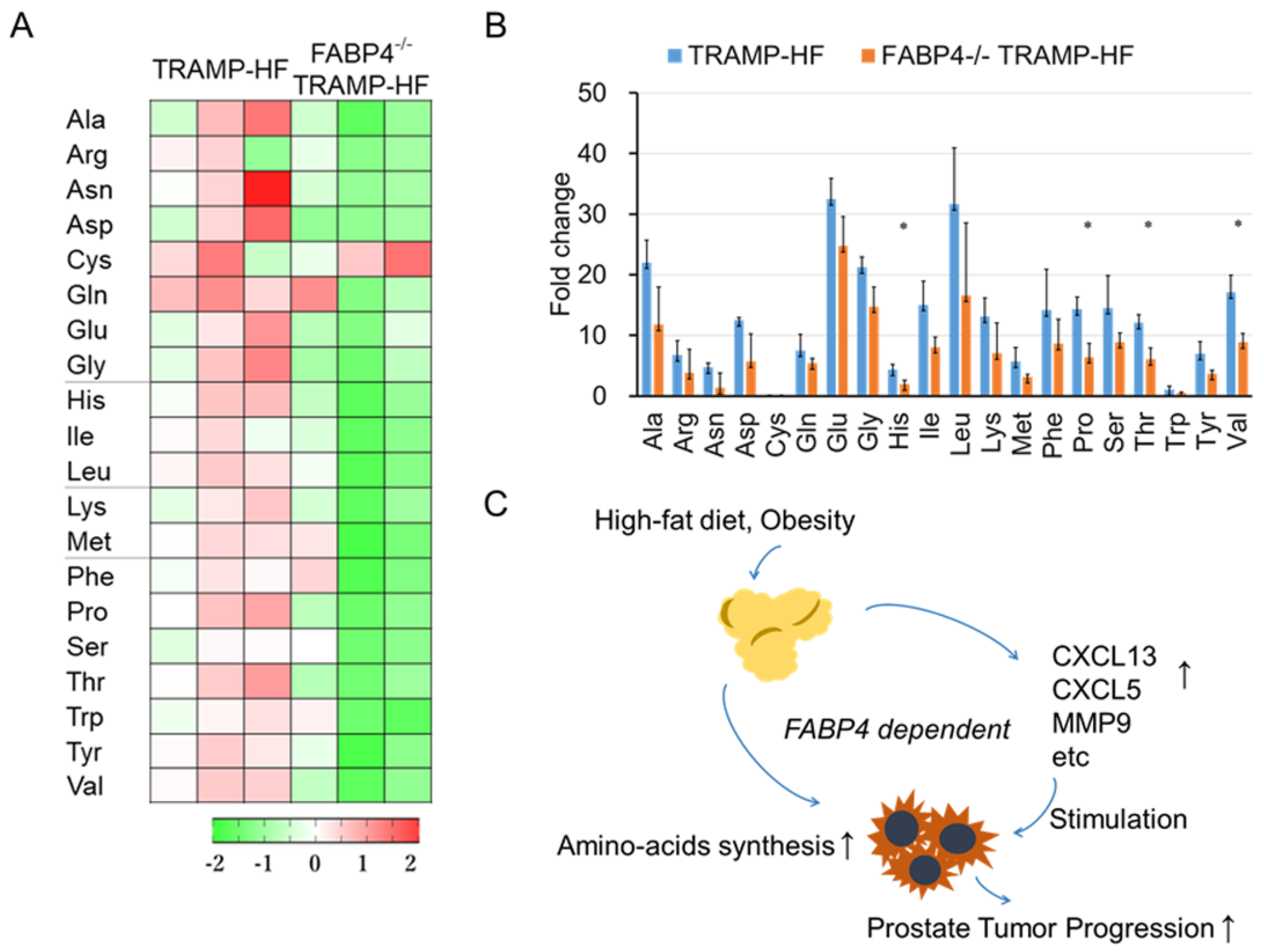 Ijms 26 10621 g006 Ijms 26 10621 g006