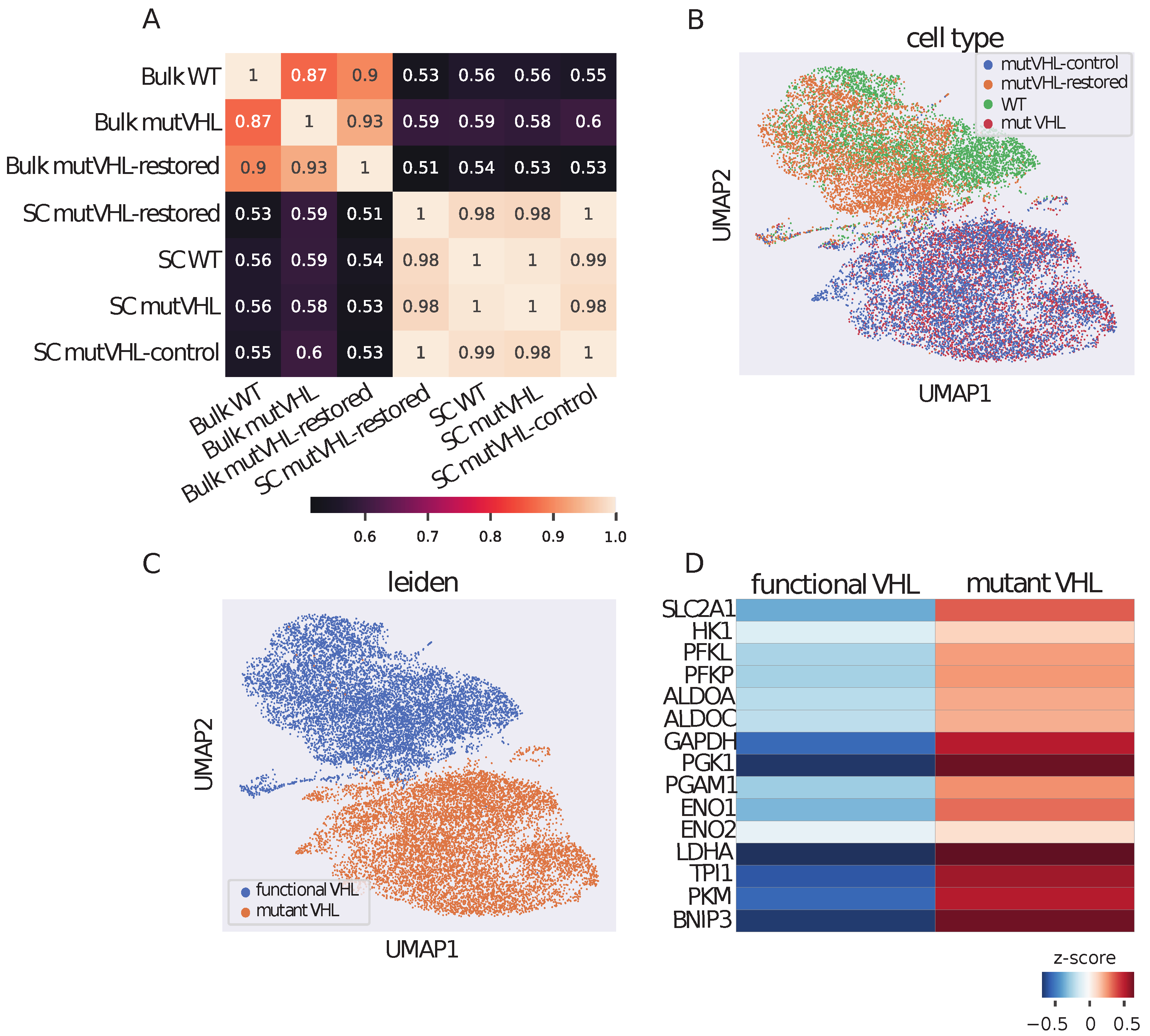 Ijms 26 10629 g001 Ijms 26 10629 g001