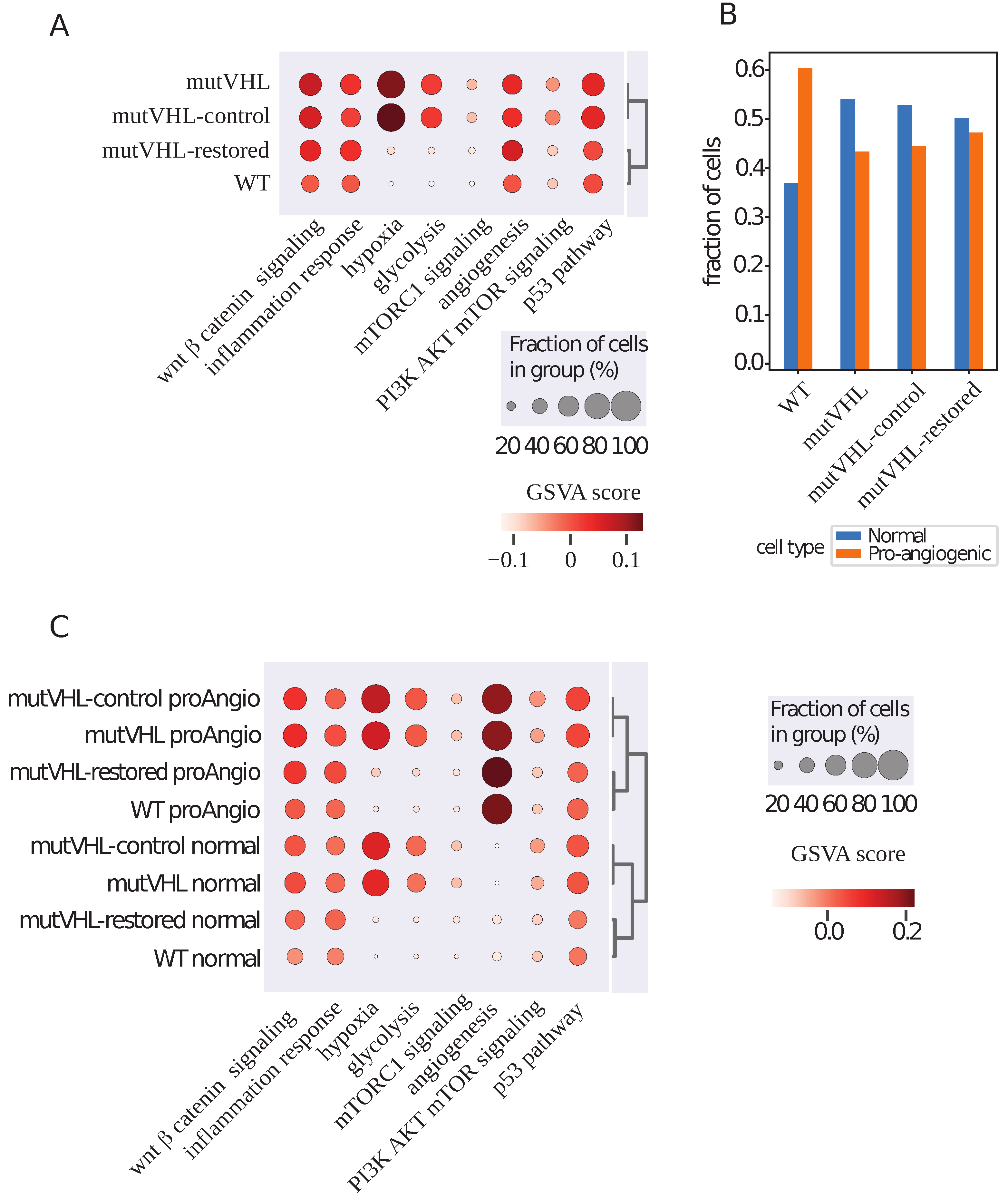 Ijms 26 10629 g002 Ijms 26 10629 g002