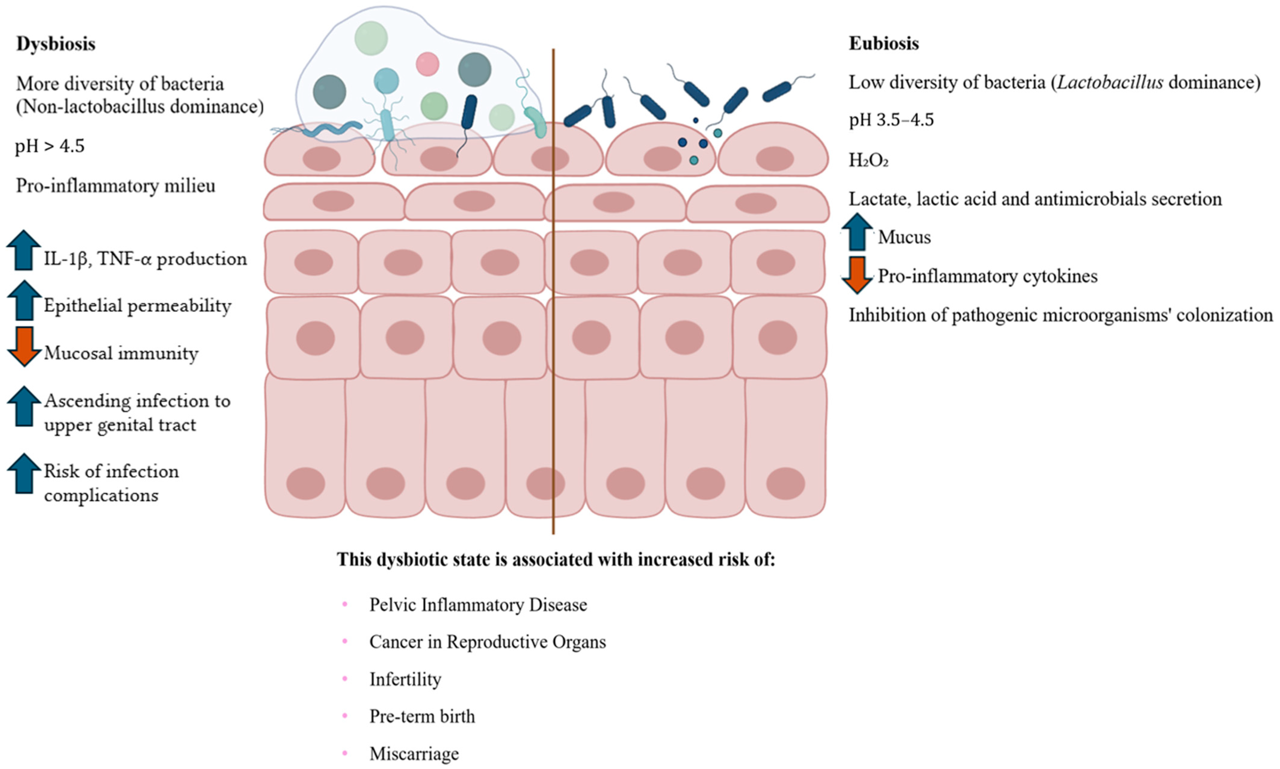 Ijms 26 10635 g001 Ijms 26 10635 g001