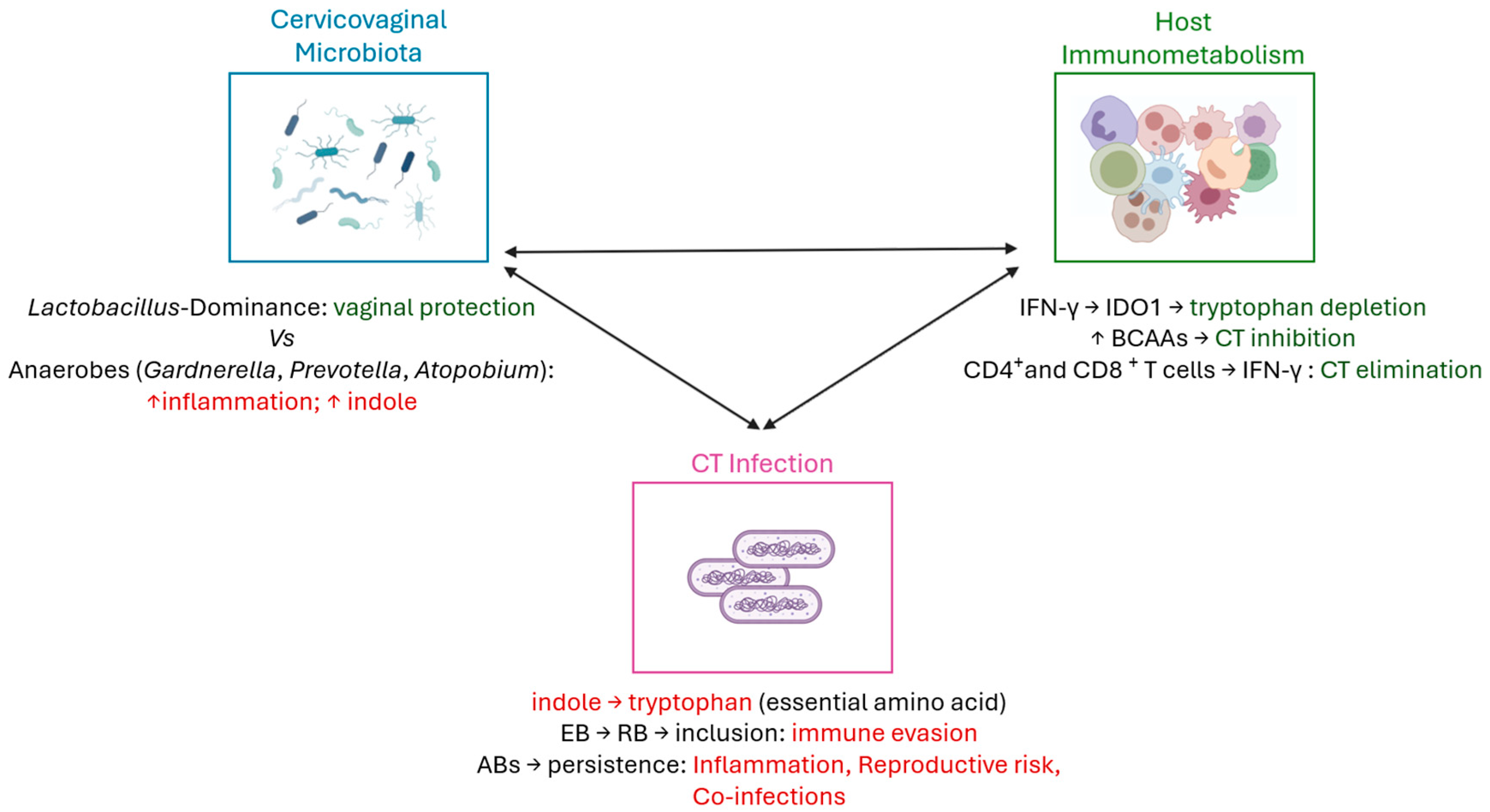 Ijms 26 10635 g002 Ijms 26 10635 g002