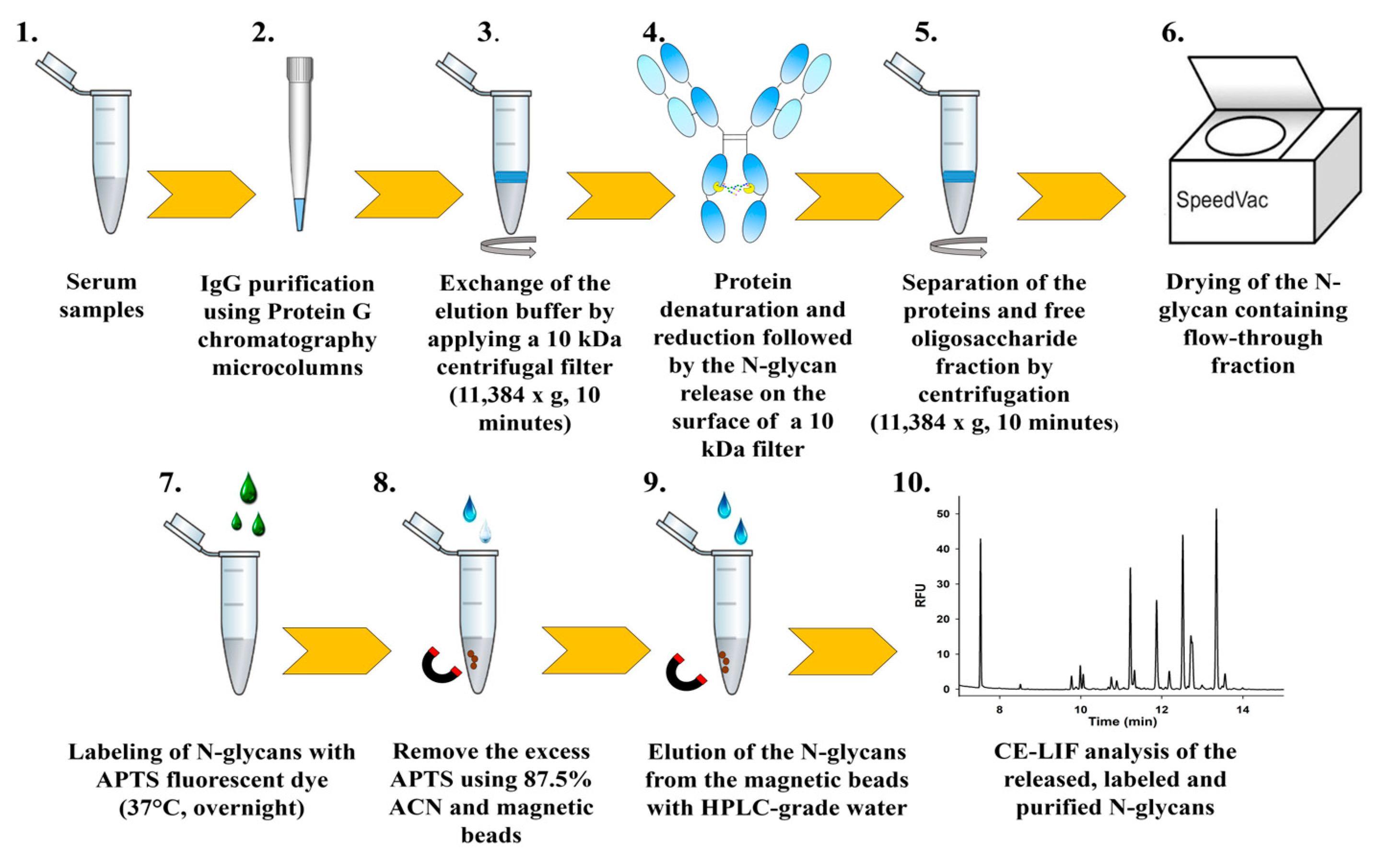 Ijms 26 10641 g006 Ijms 26 10641 g006