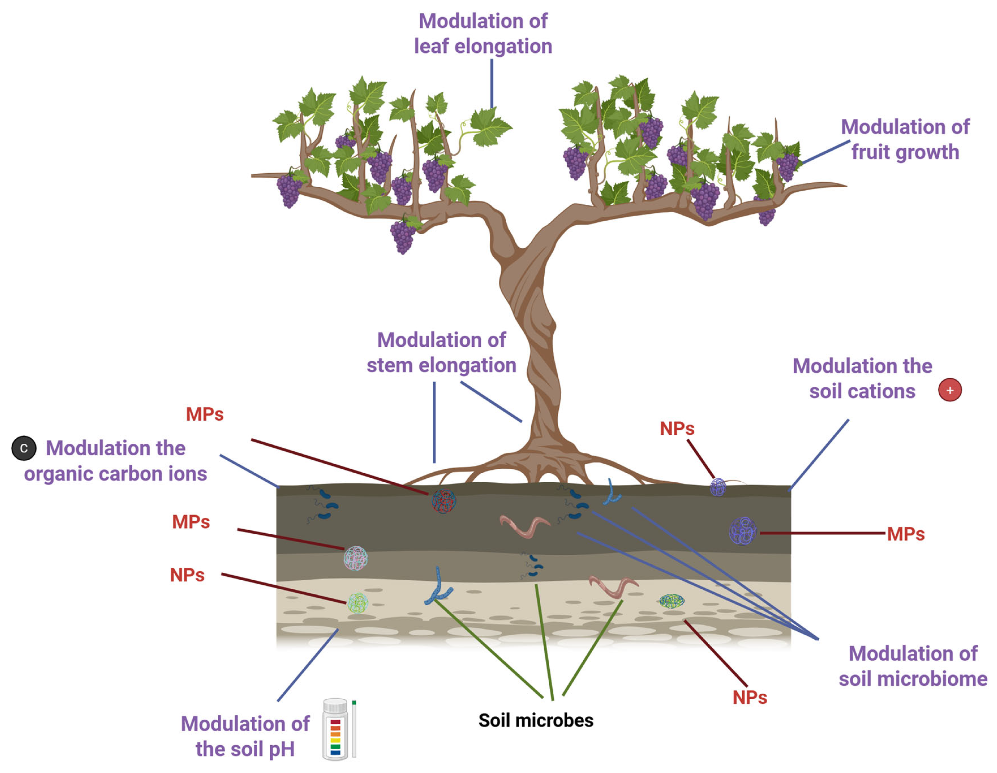 Ijms 26 10646 g001 Ijms 26 10646 g001