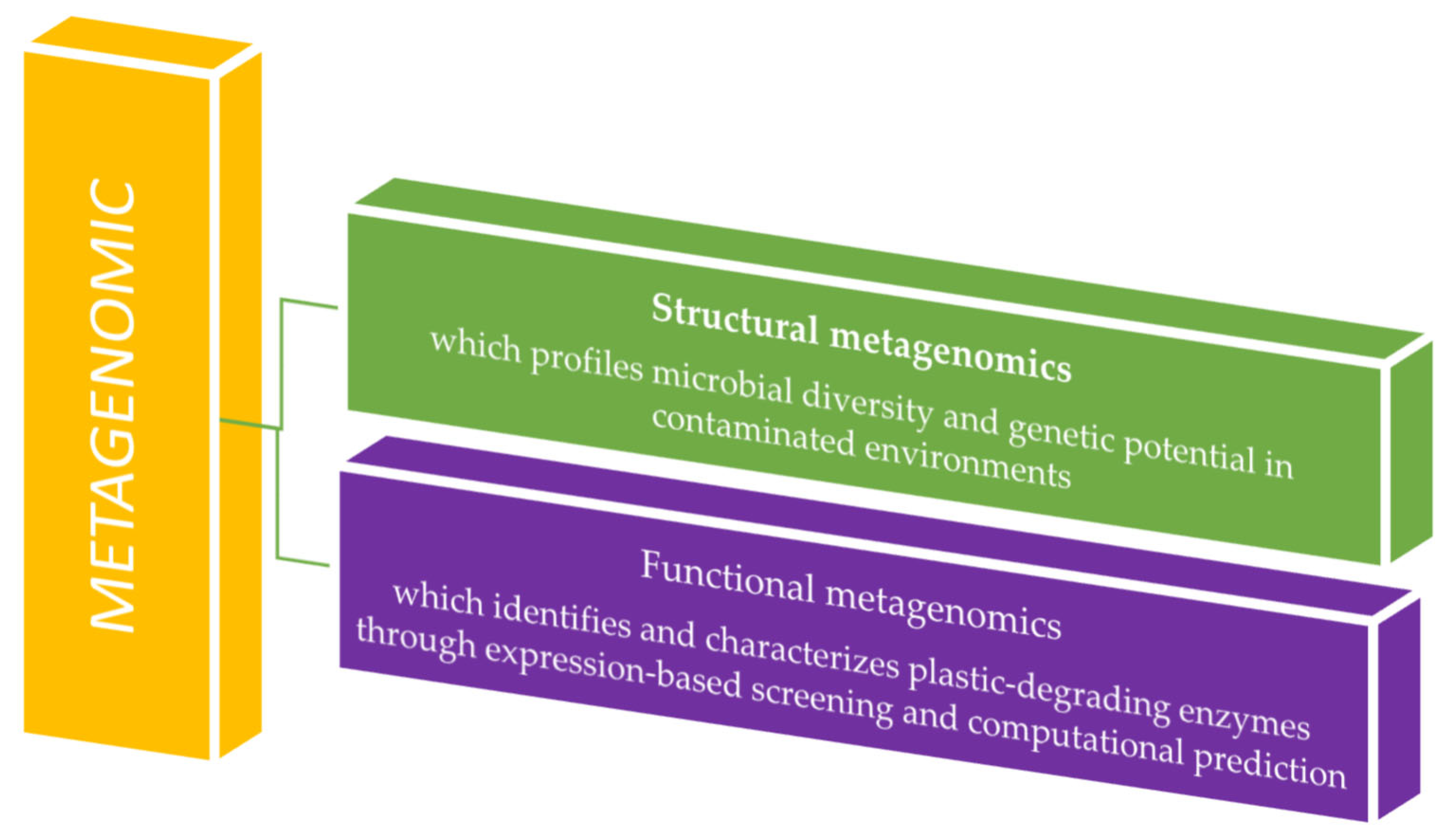 Ijms 26 10646 g003 Ijms 26 10646 g003