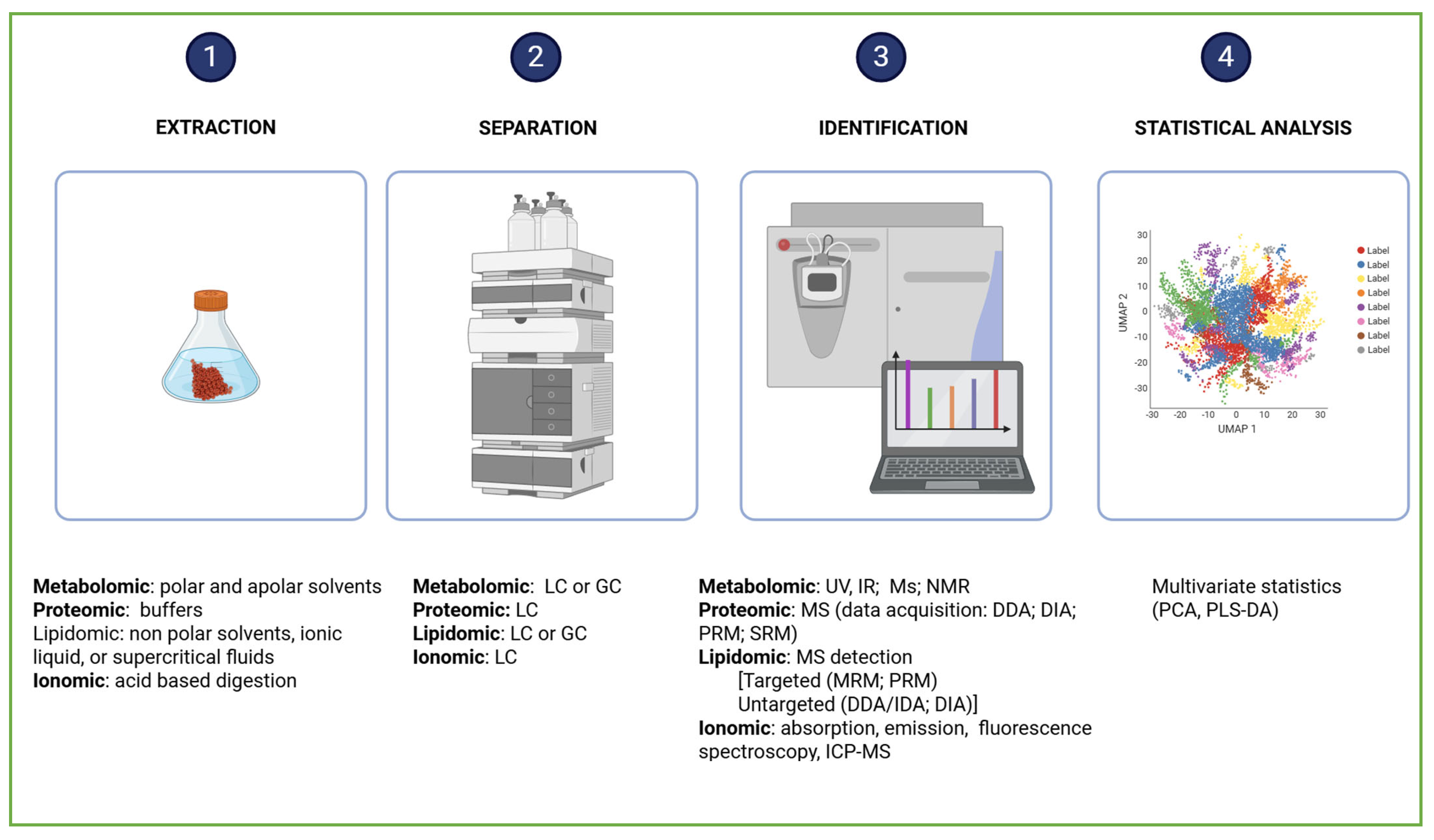 Ijms 26 10646 g005 Ijms 26 10646 g005