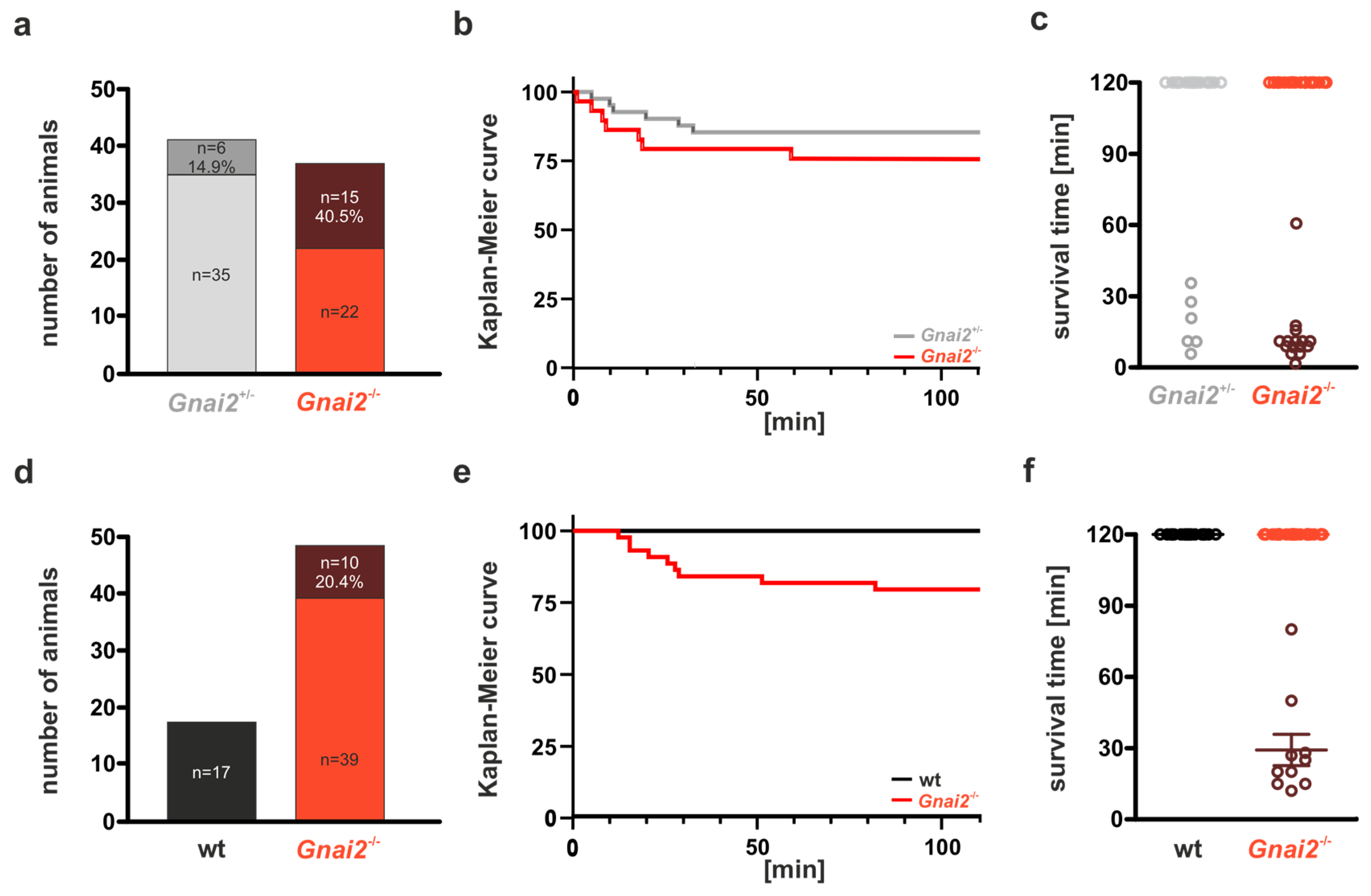 Ijms 26 10655 g001 Ijms 26 10655 g001