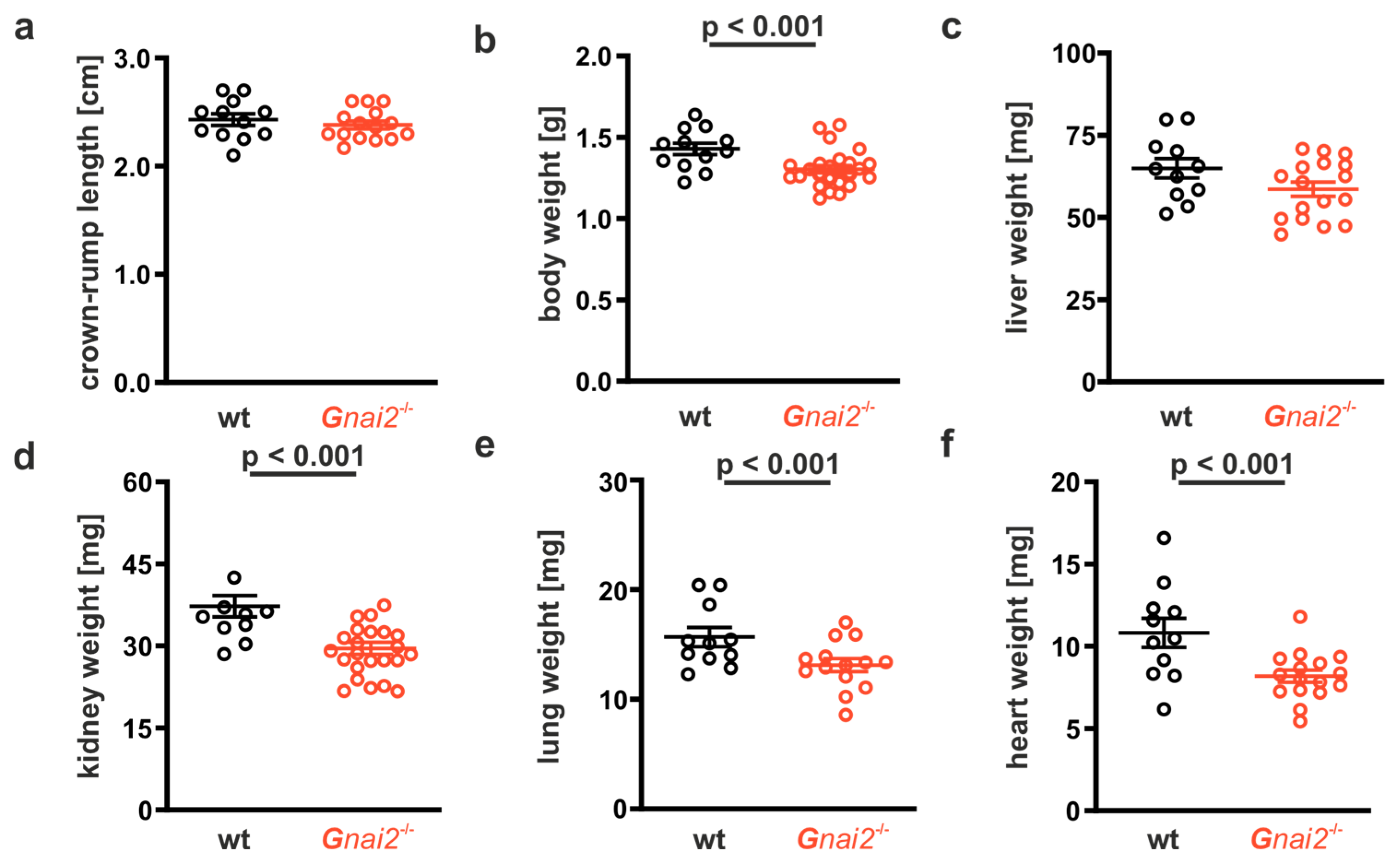 Ijms 26 10655 g002 Ijms 26 10655 g002