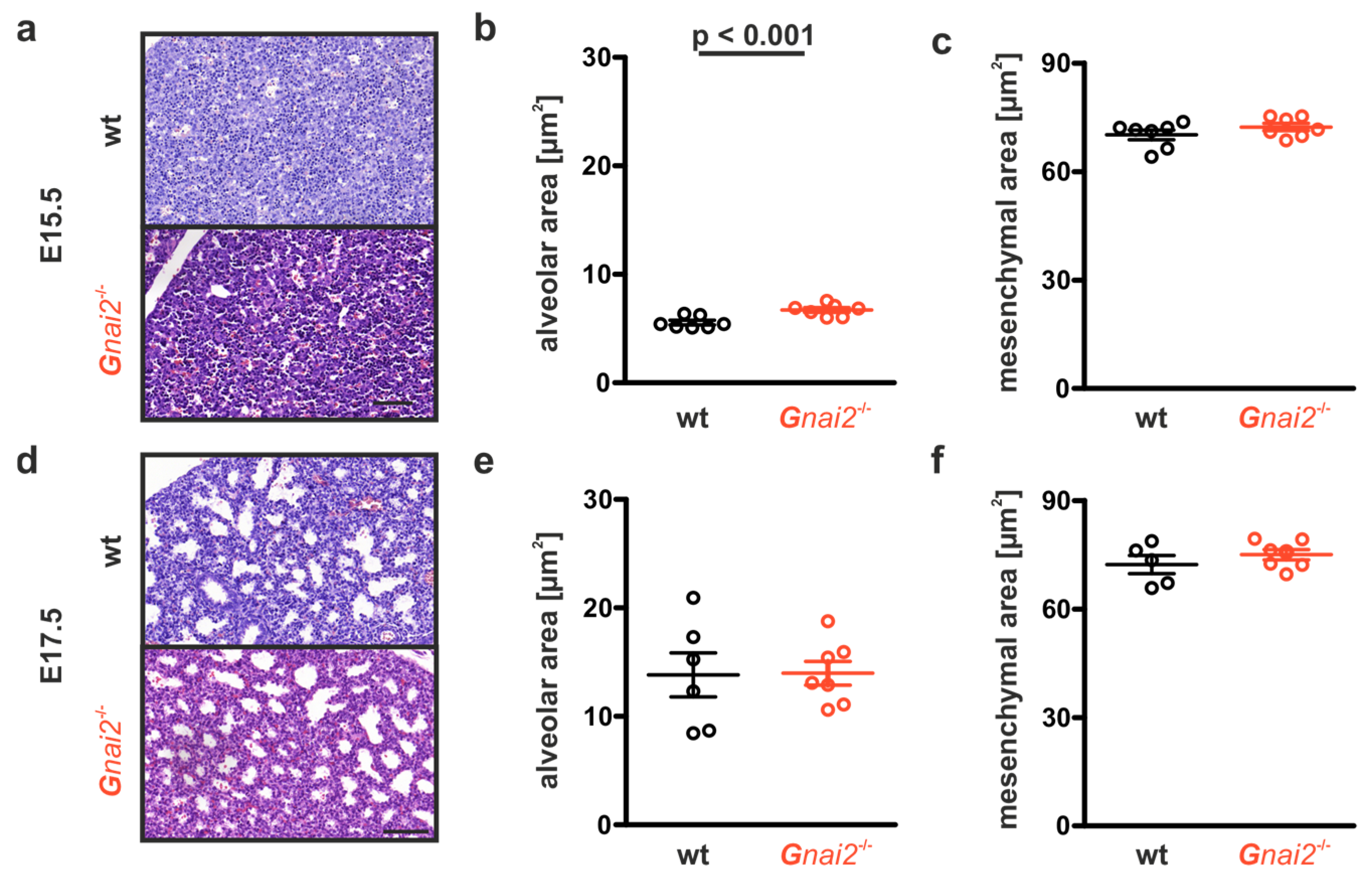 Ijms 26 10655 g004 Ijms 26 10655 g004