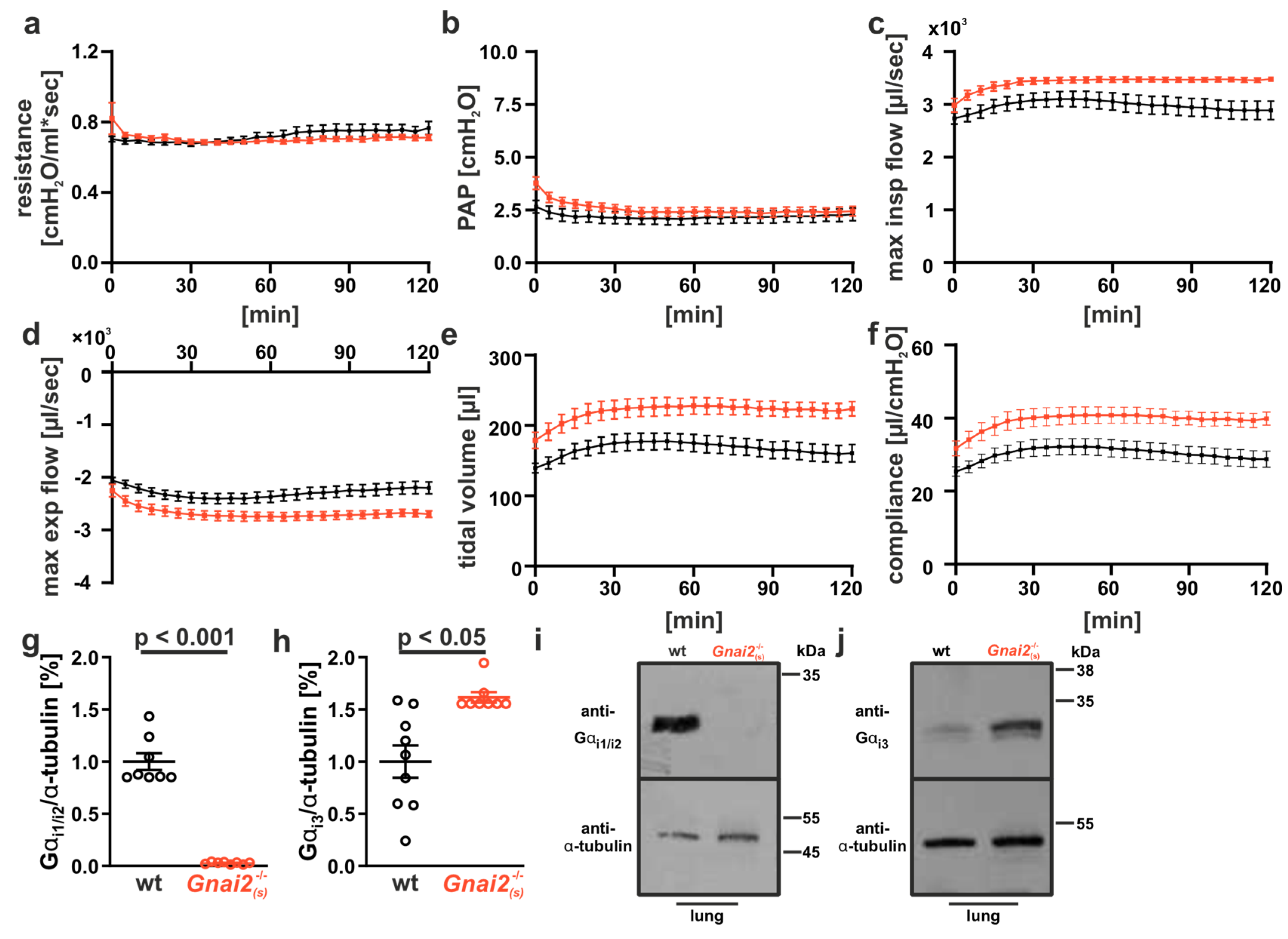 Ijms 26 10655 g008 Ijms 26 10655 g008