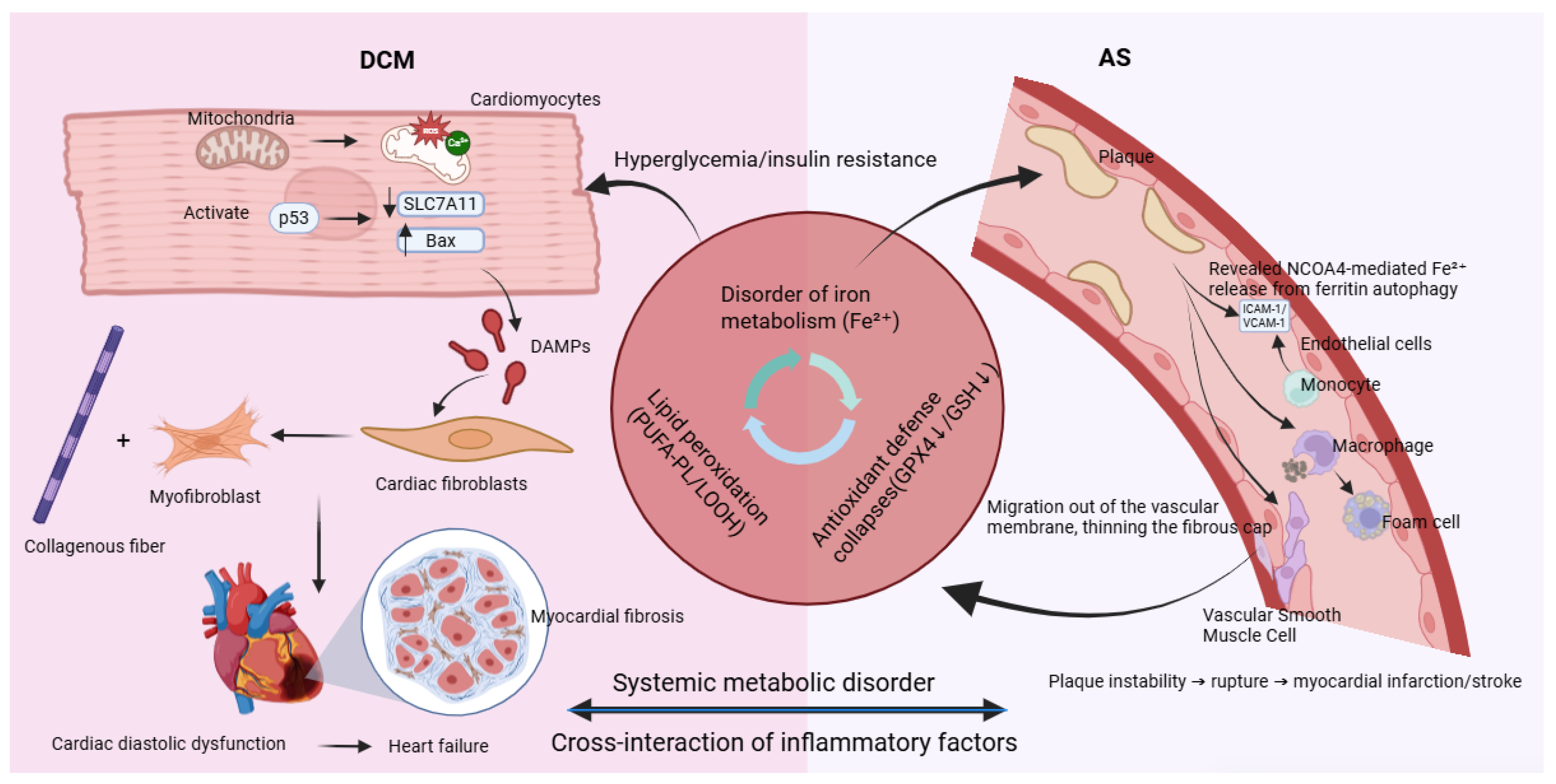 Ijms 26 10661 g003 Ijms 26 10661 g003
