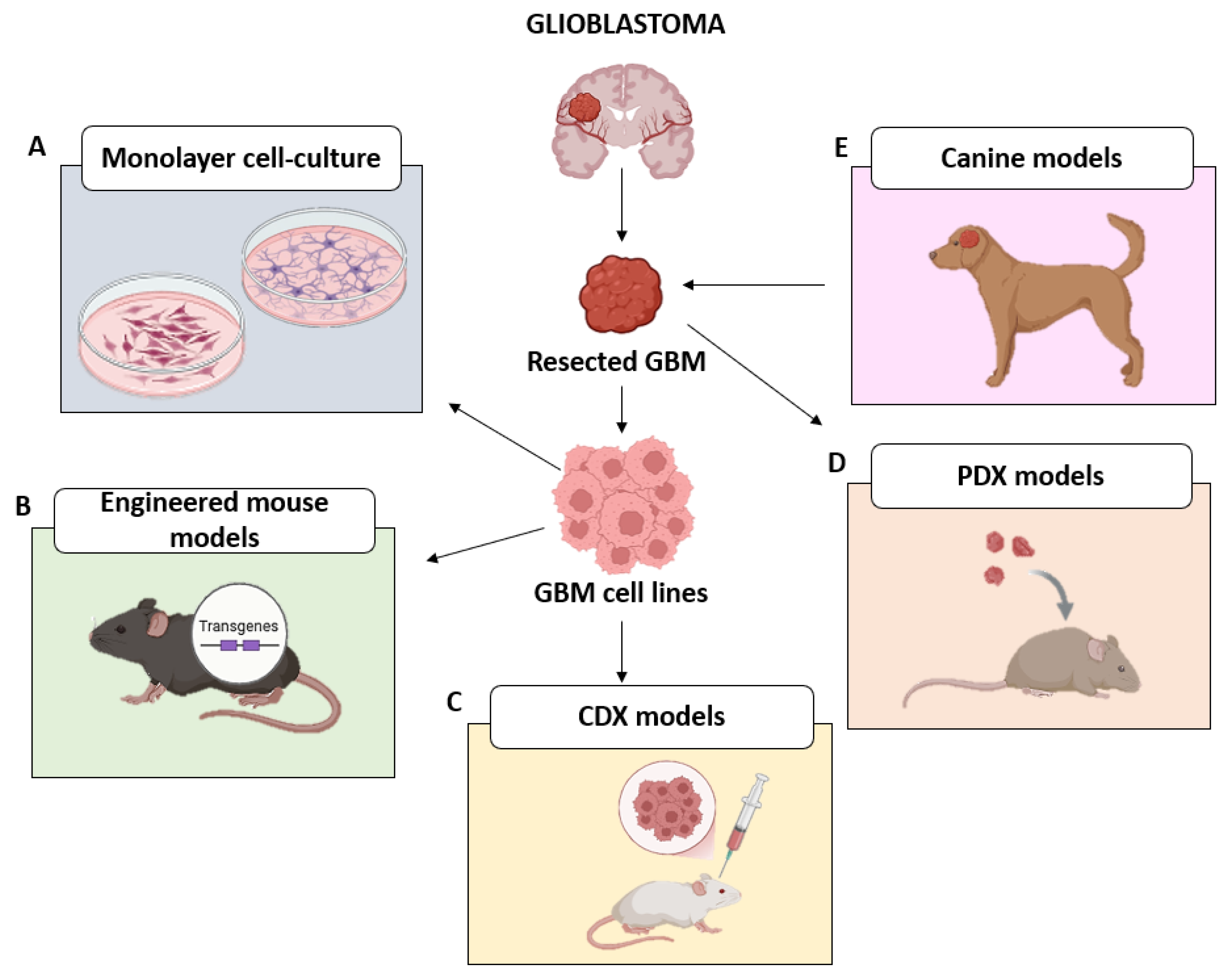 Ijms 26 10664 g001 Ijms 26 10664 g001