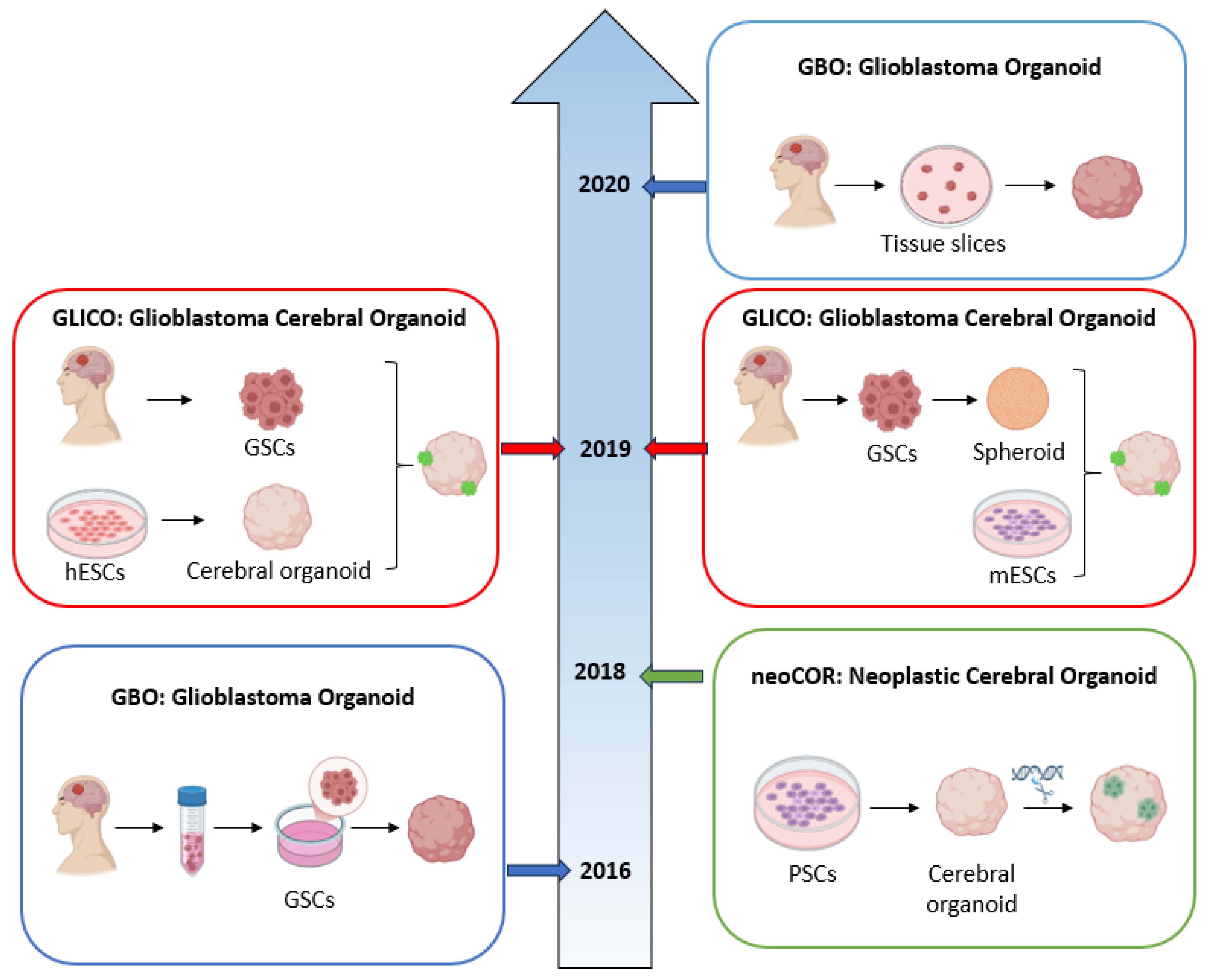 Ijms 26 10664 g003 Ijms 26 10664 g003