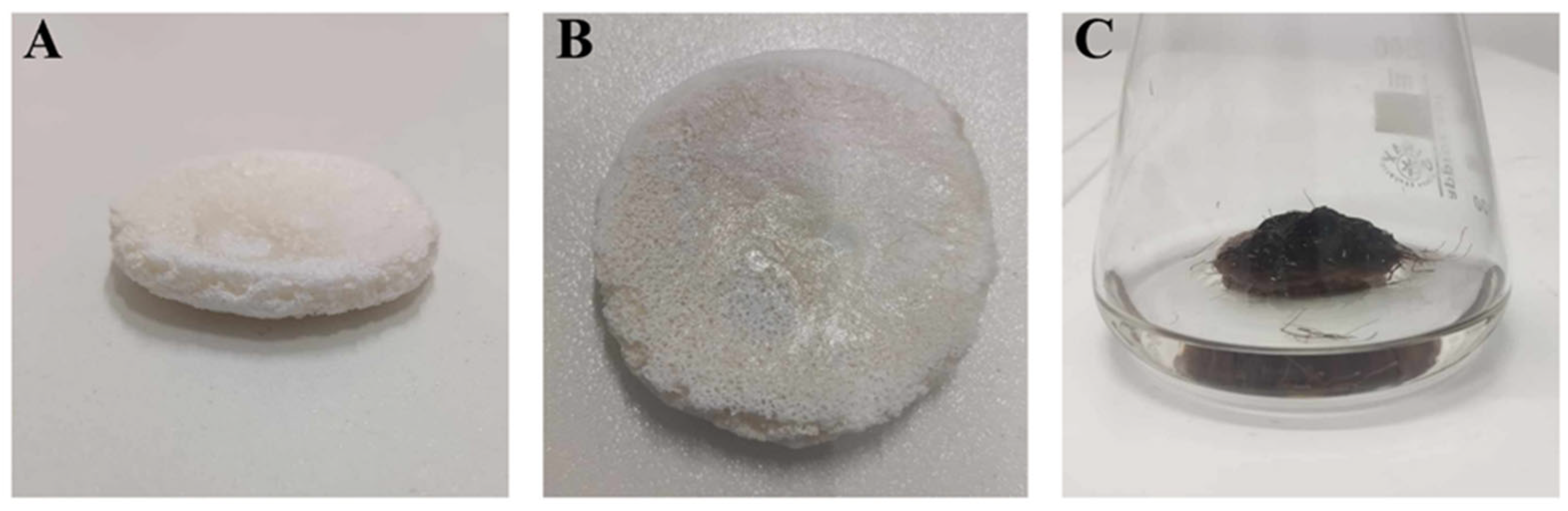 Ijms 26 10668 g001 Ijms 26 10668 g001