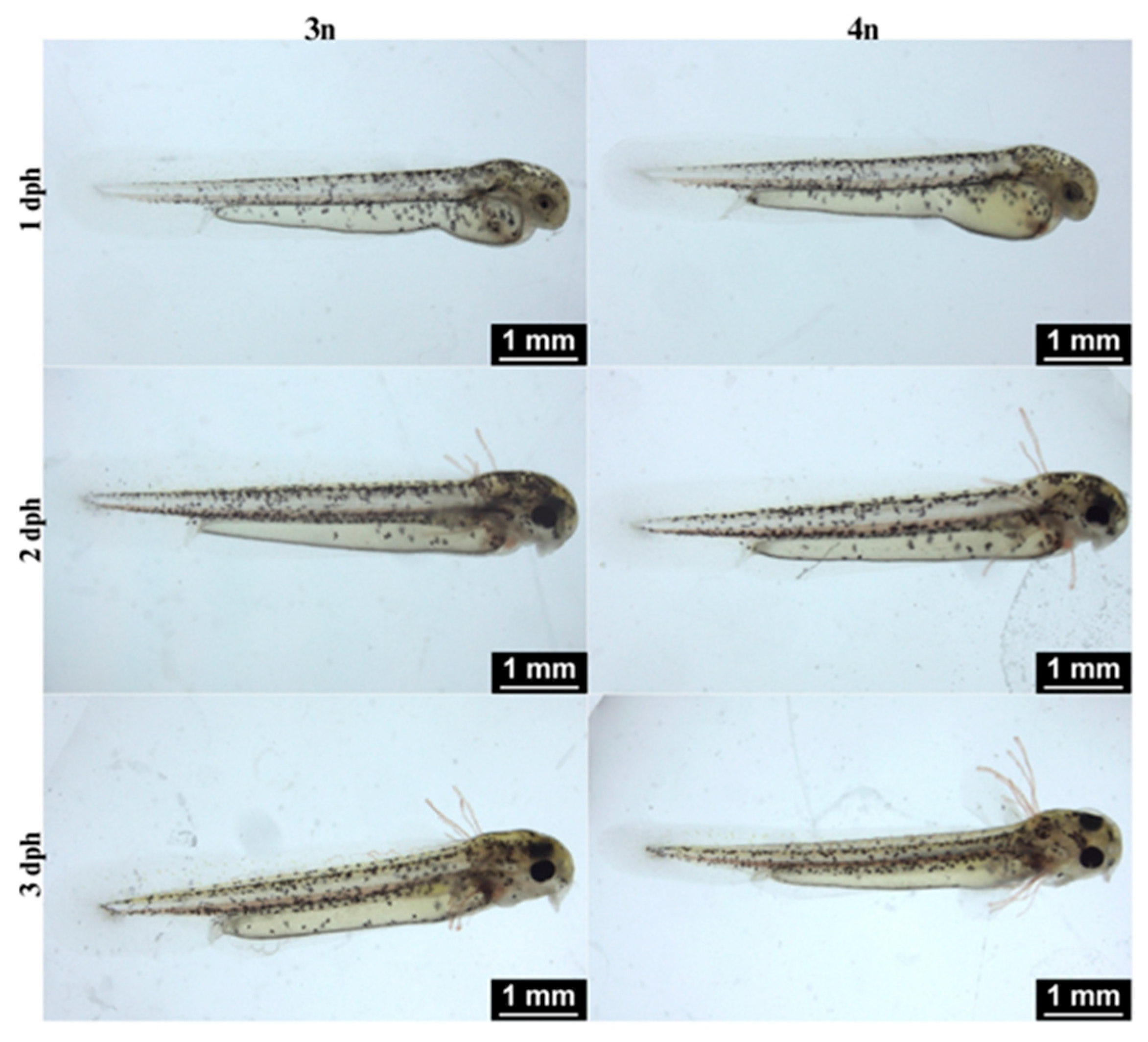 Ijms 26 10669 g002 Ijms 26 10669 g002