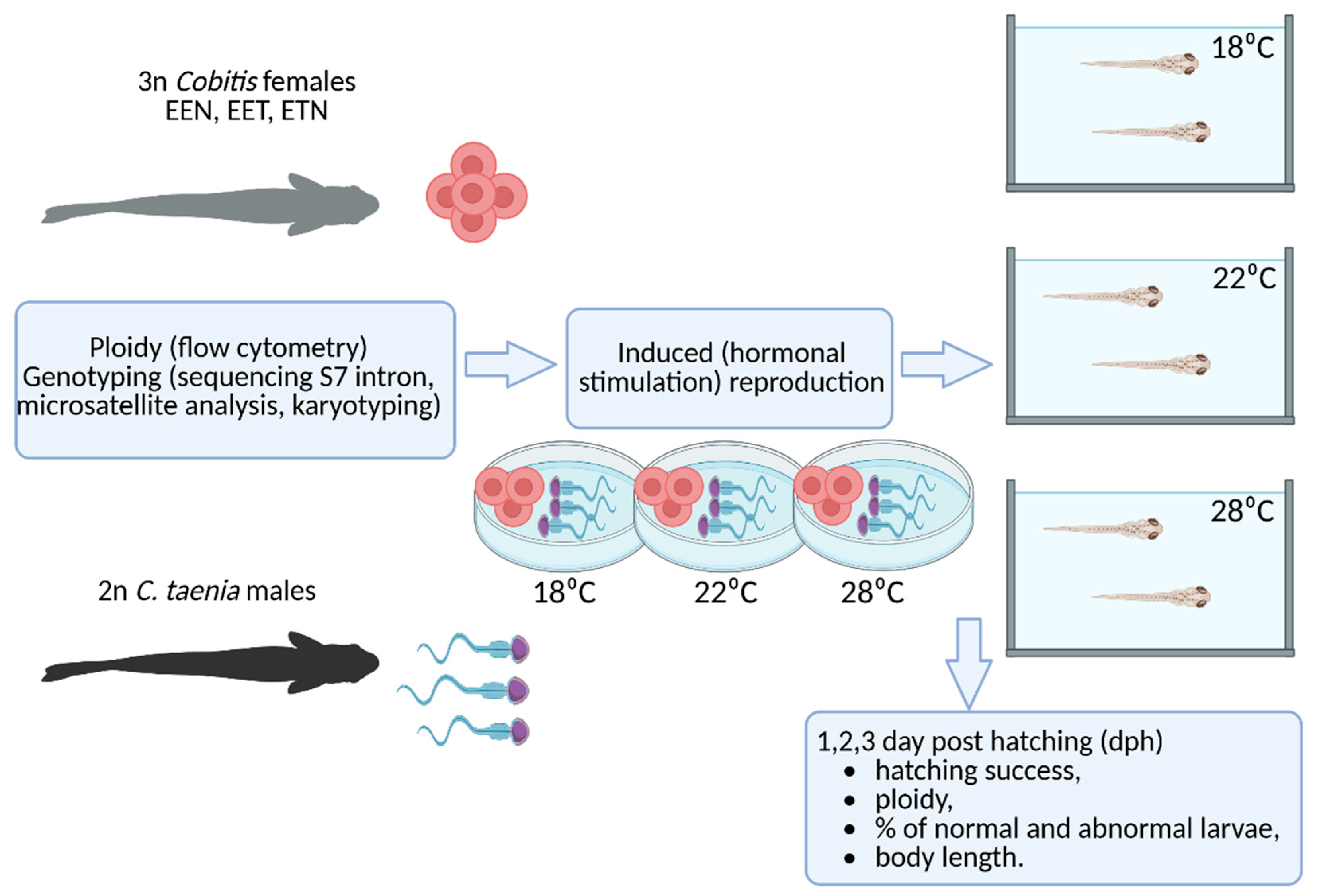 Ijms 26 10669 g006 Ijms 26 10669 g006