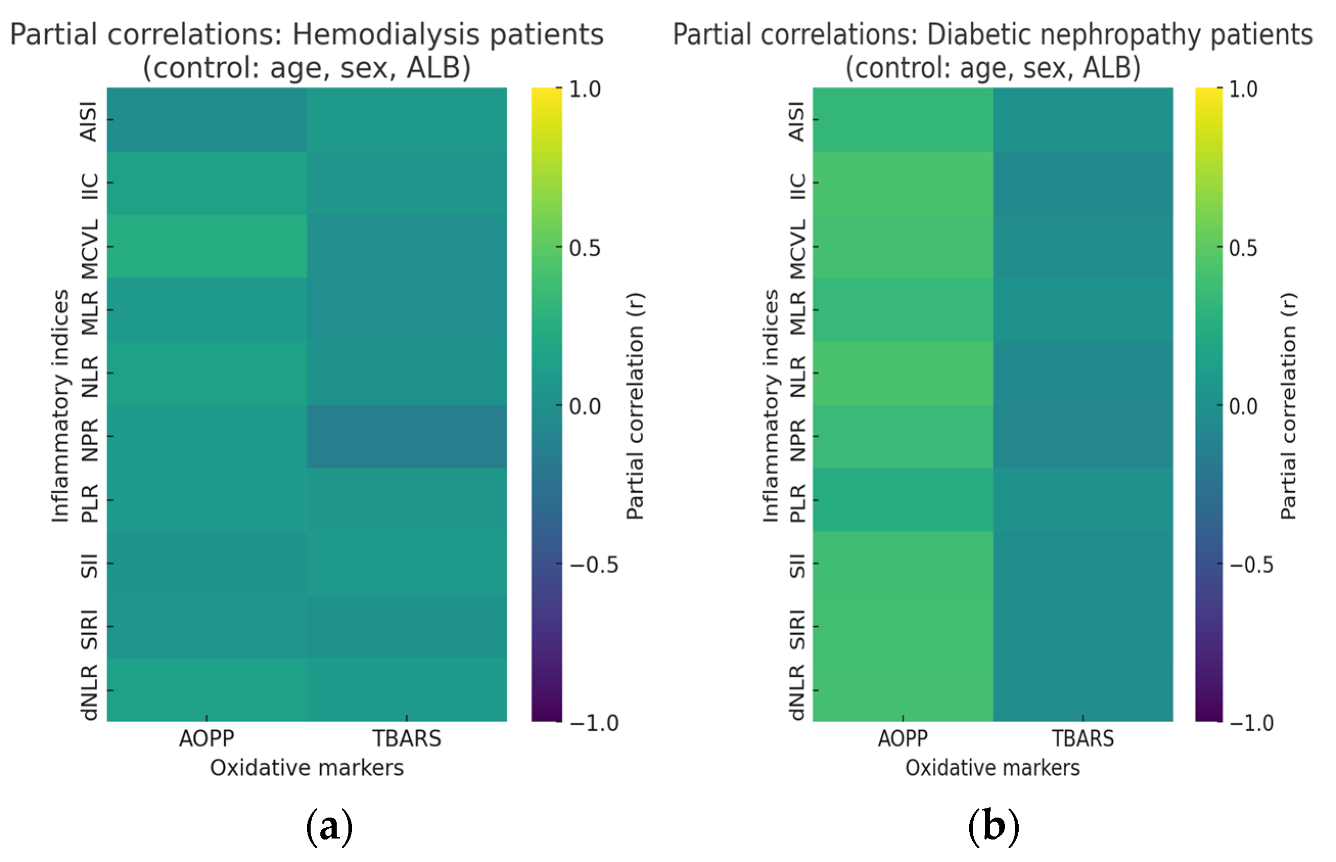 Ijms 26 10670 g001 Ijms 26 10670 g001