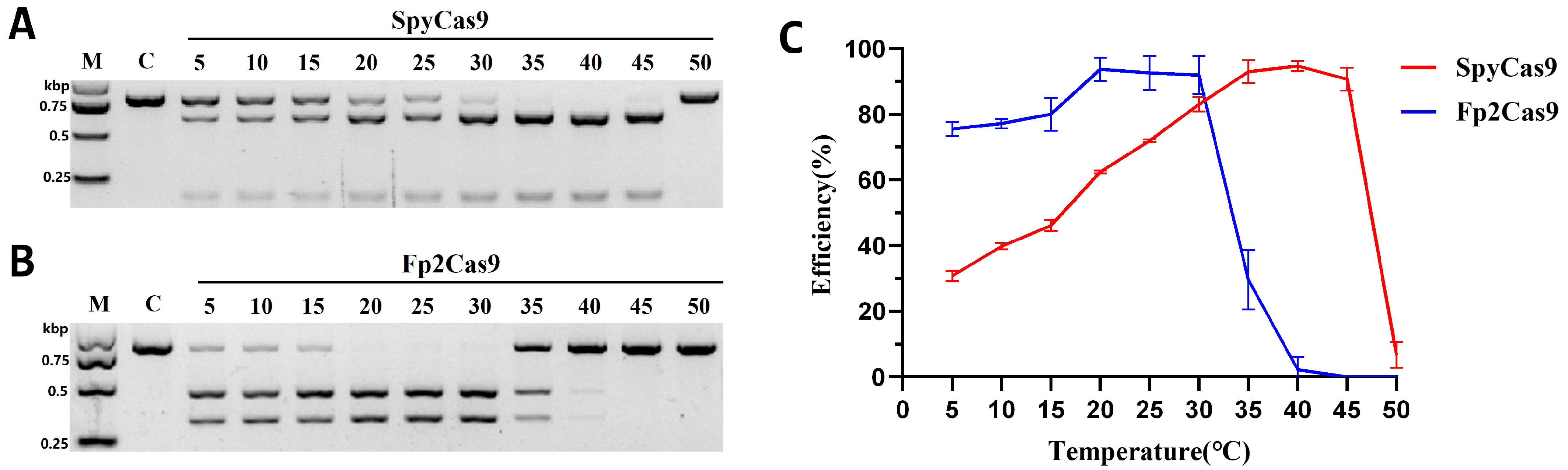 Ijms 26 10681 g005 Ijms 26 10681 g005