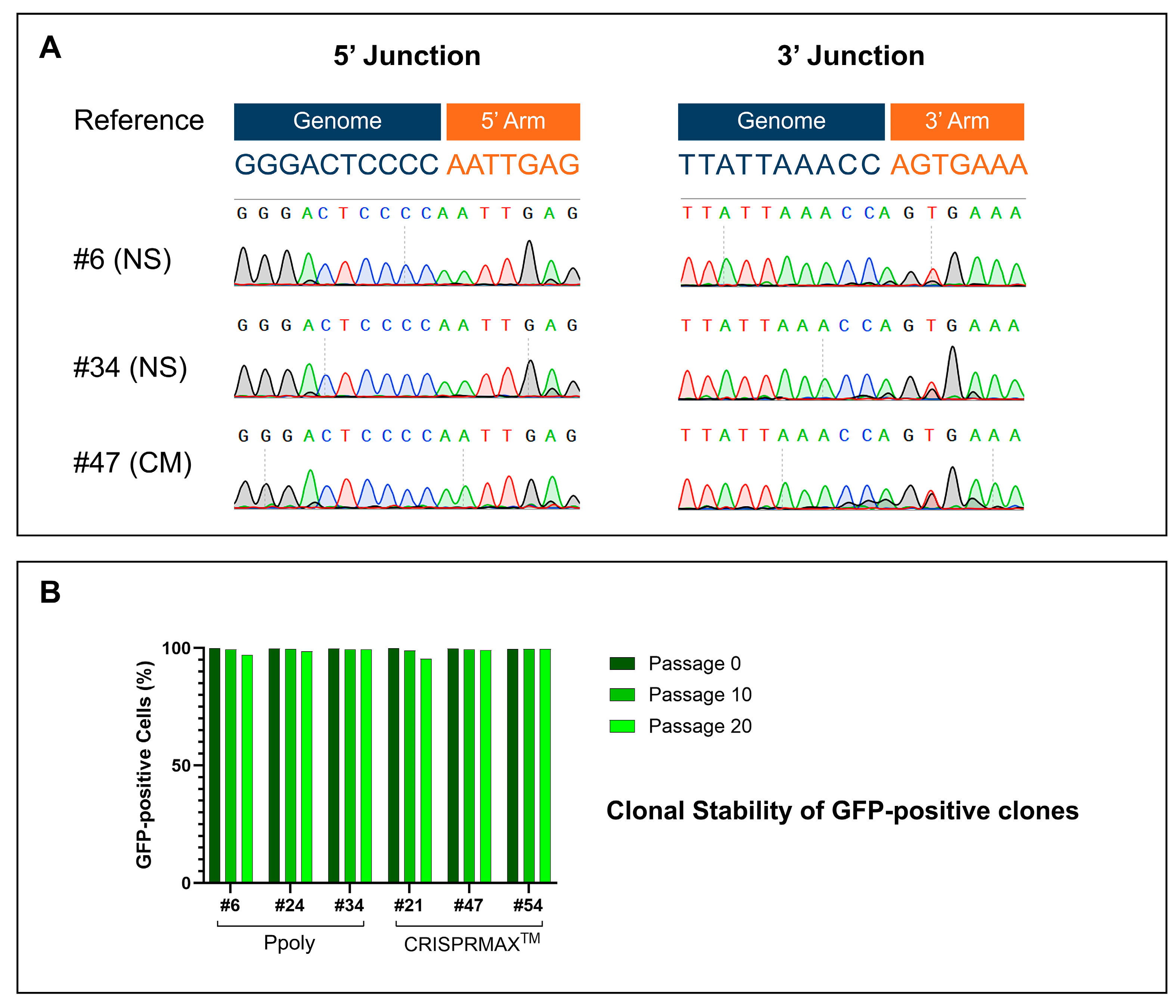 Ijms 26 10682 g010 Ijms 26 10682 g010