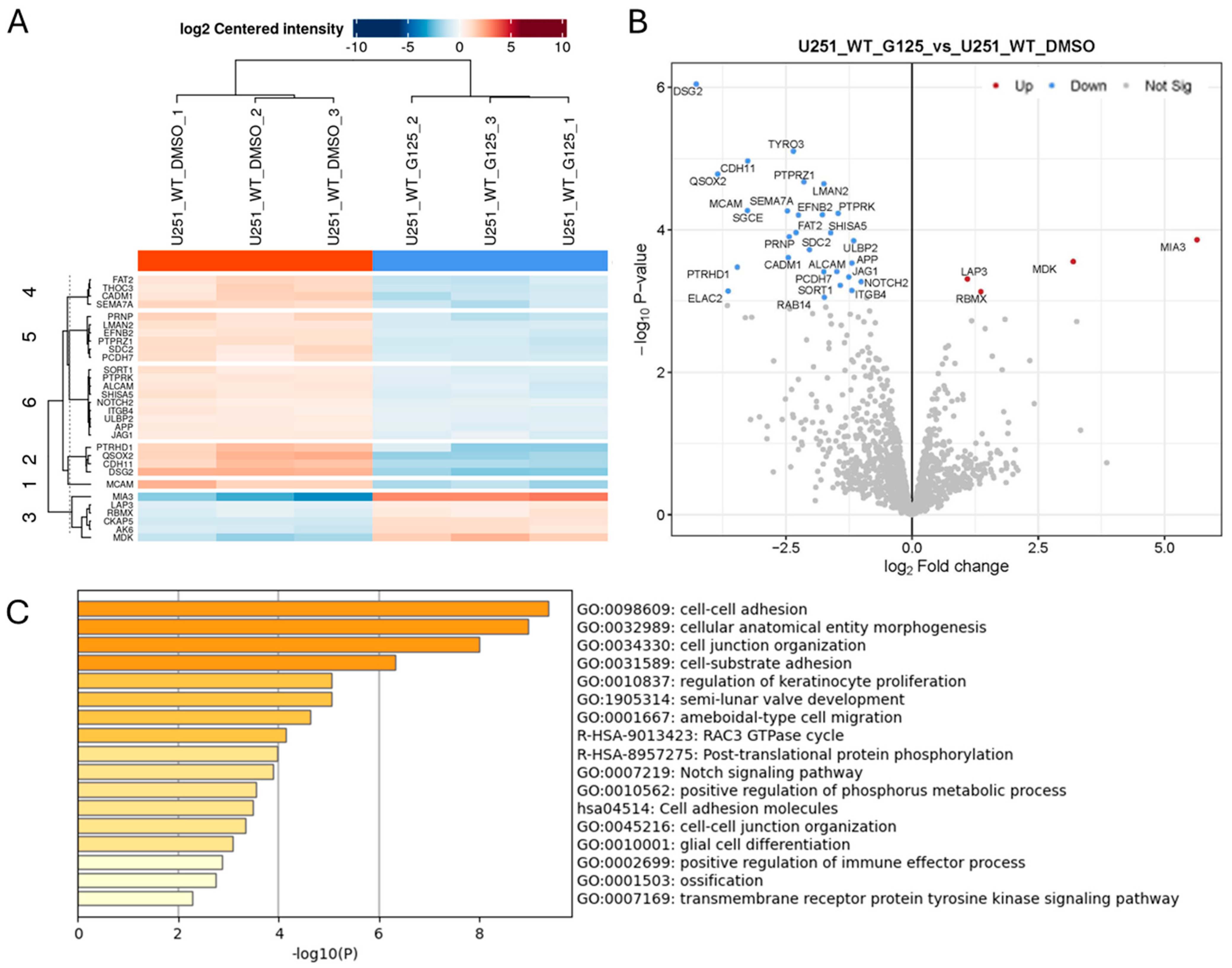 Ijms 26 10684 g002 Ijms 26 10684 g002