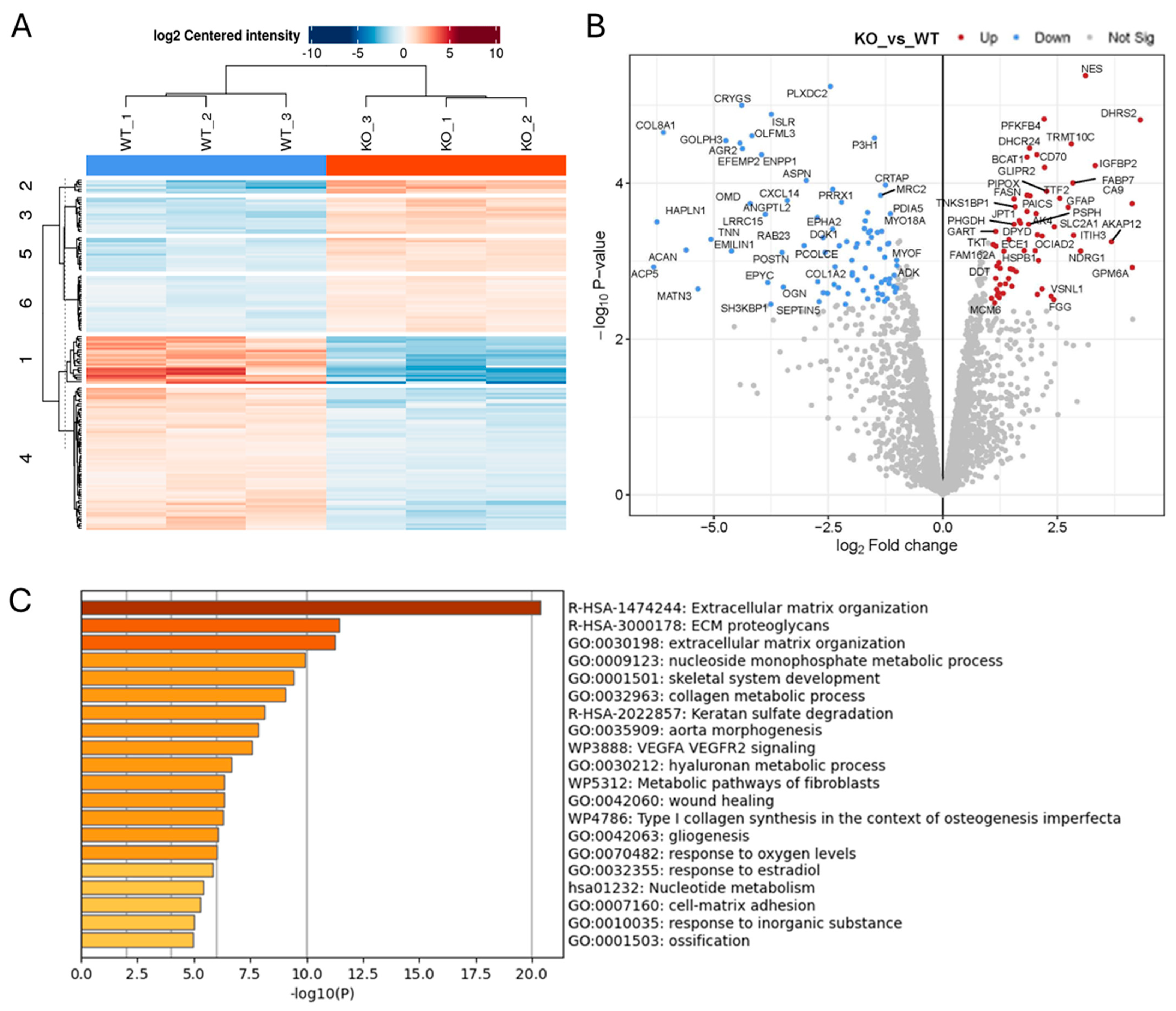 Ijms 26 10684 g005 Ijms 26 10684 g005