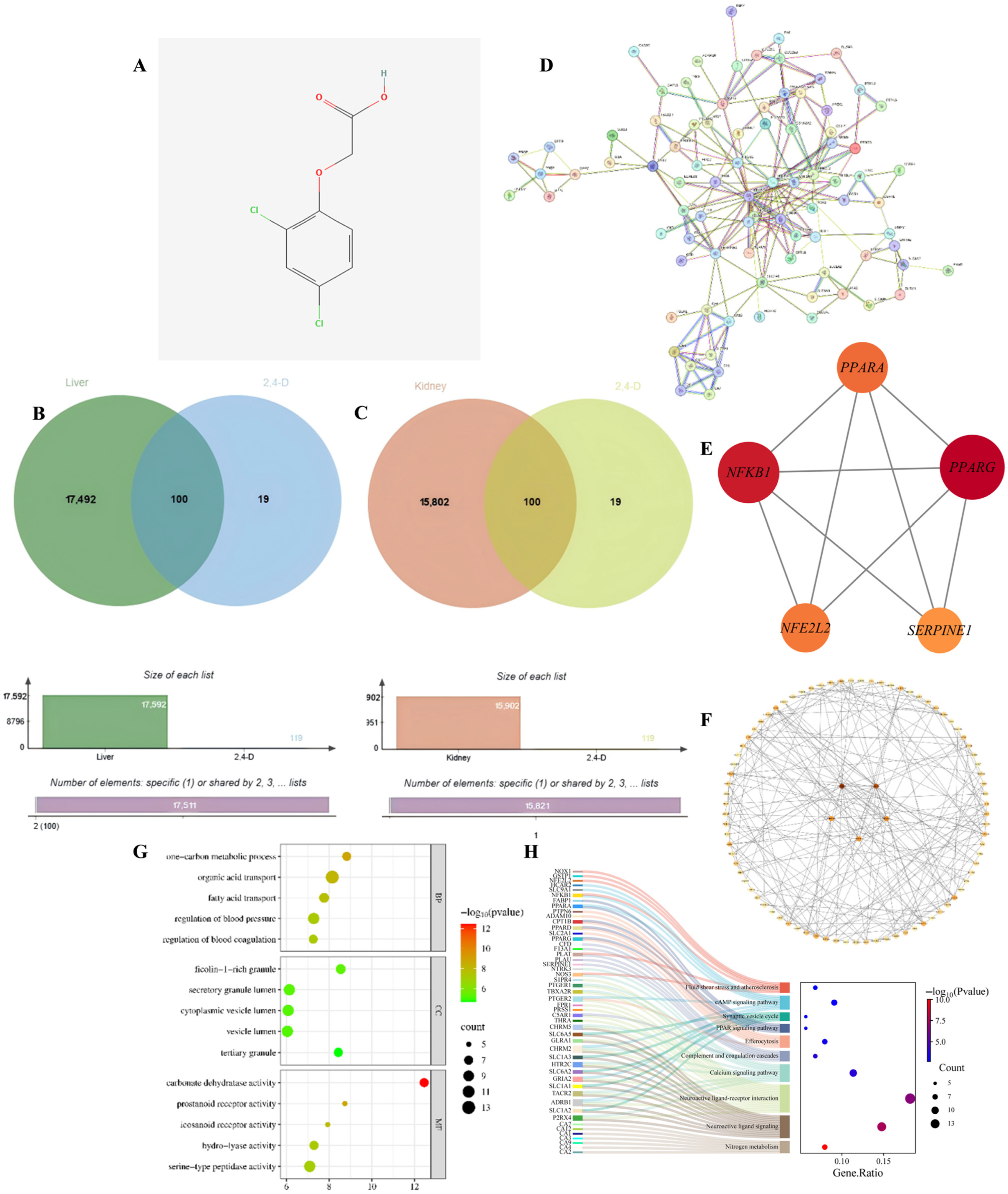 Ijms 26 10685 g001 Ijms 26 10685 g001