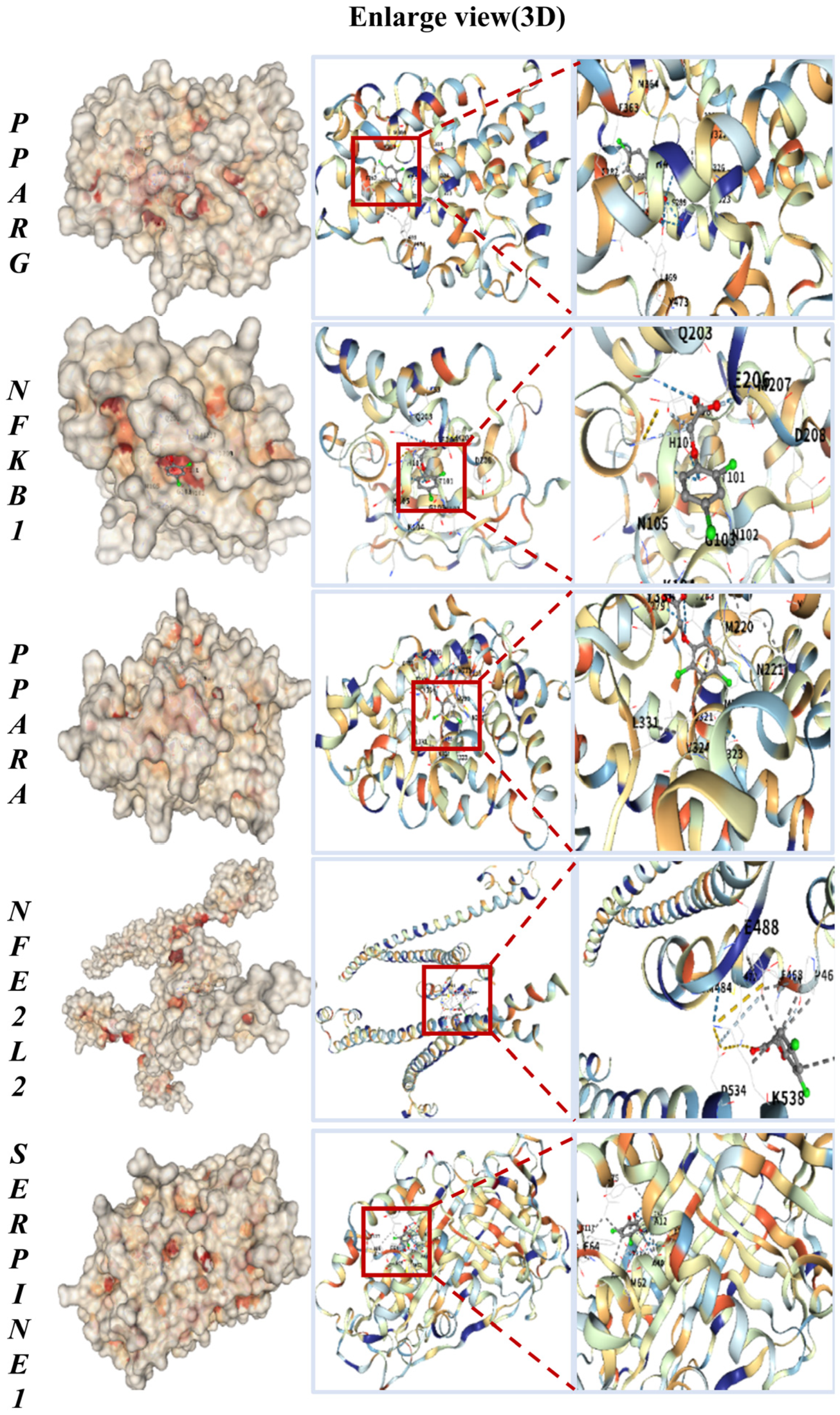 Ijms 26 10685 g002 Ijms 26 10685 g002