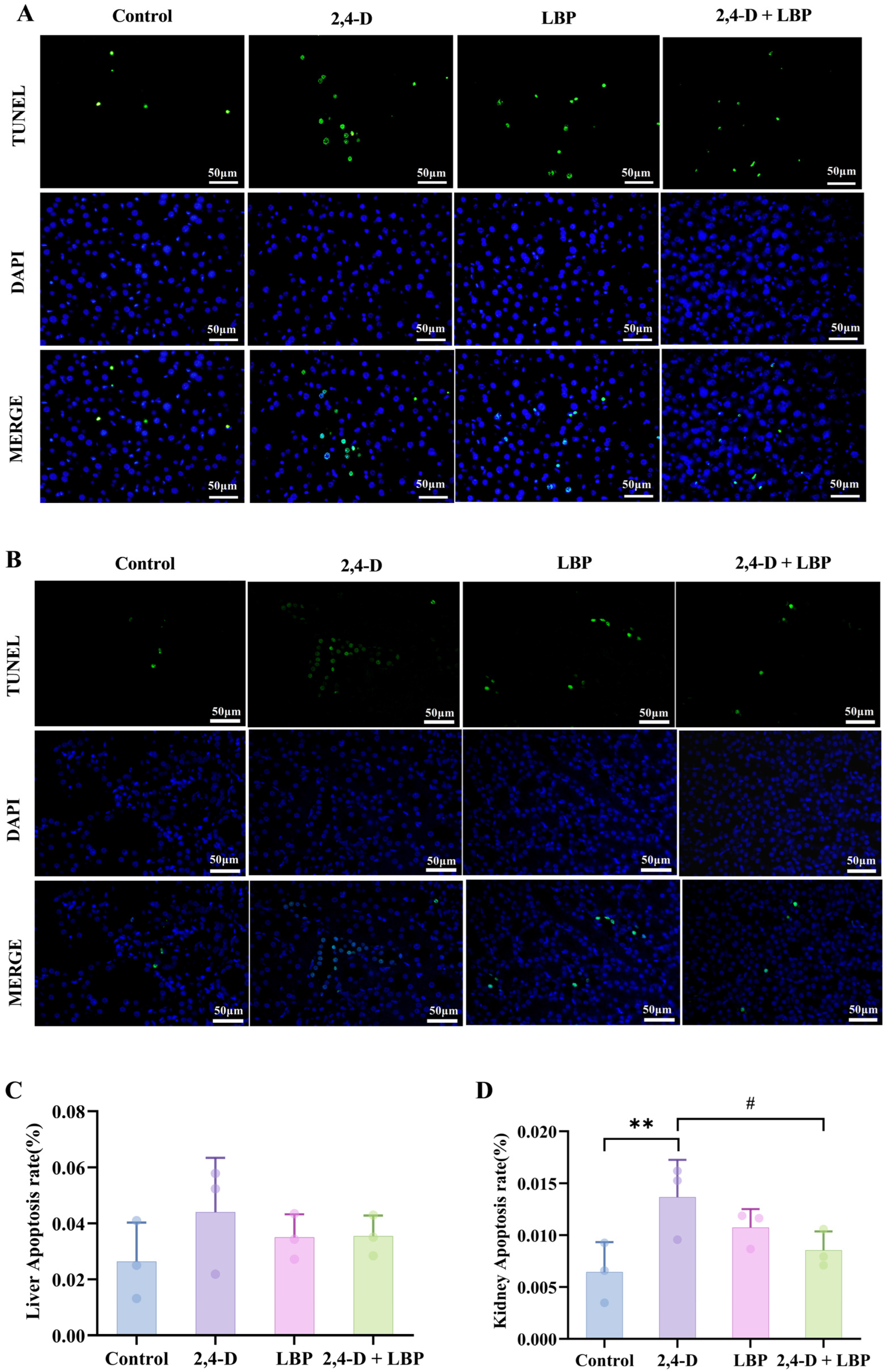 Ijms 26 10685 g004 Ijms 26 10685 g004