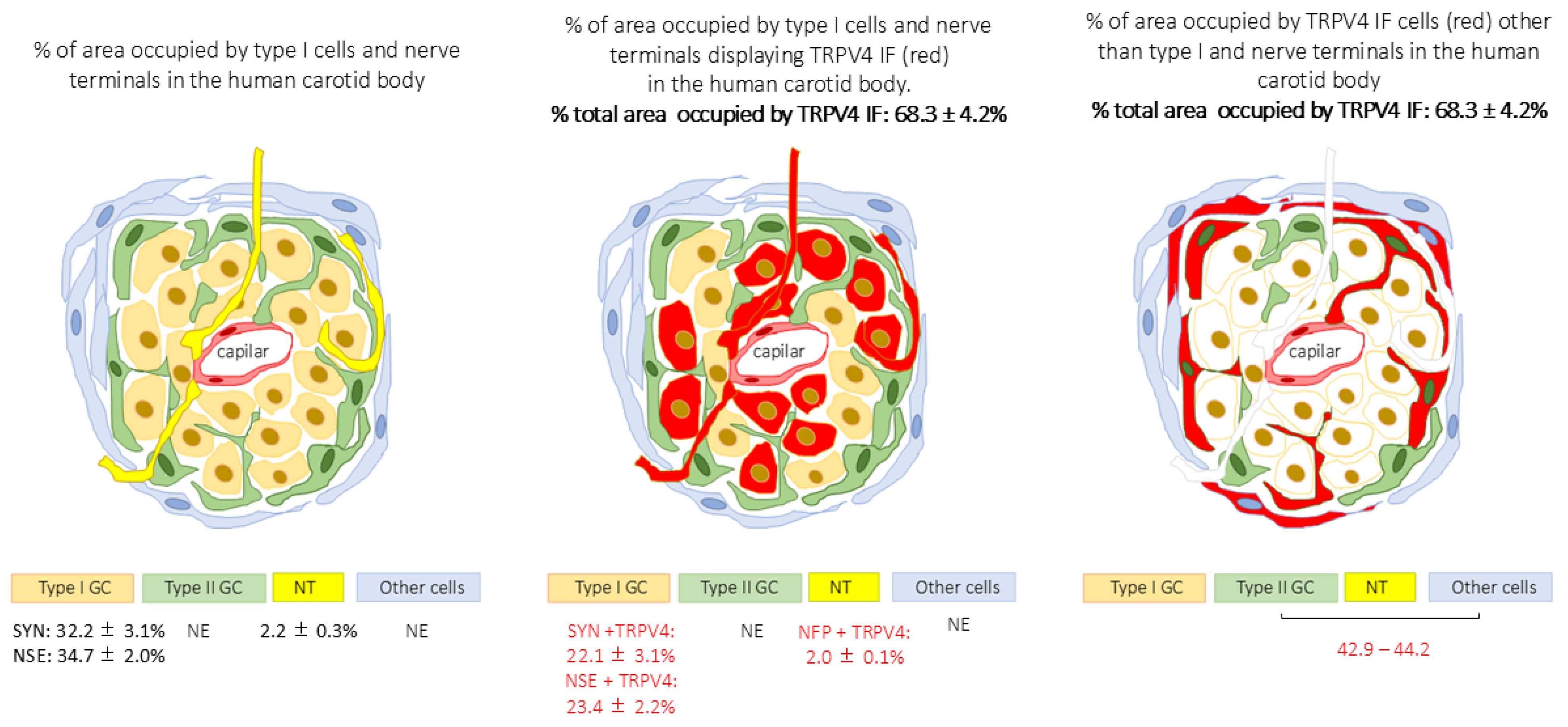 Ijms 26 10689 sch002 Ijms 26 10689 sch002
