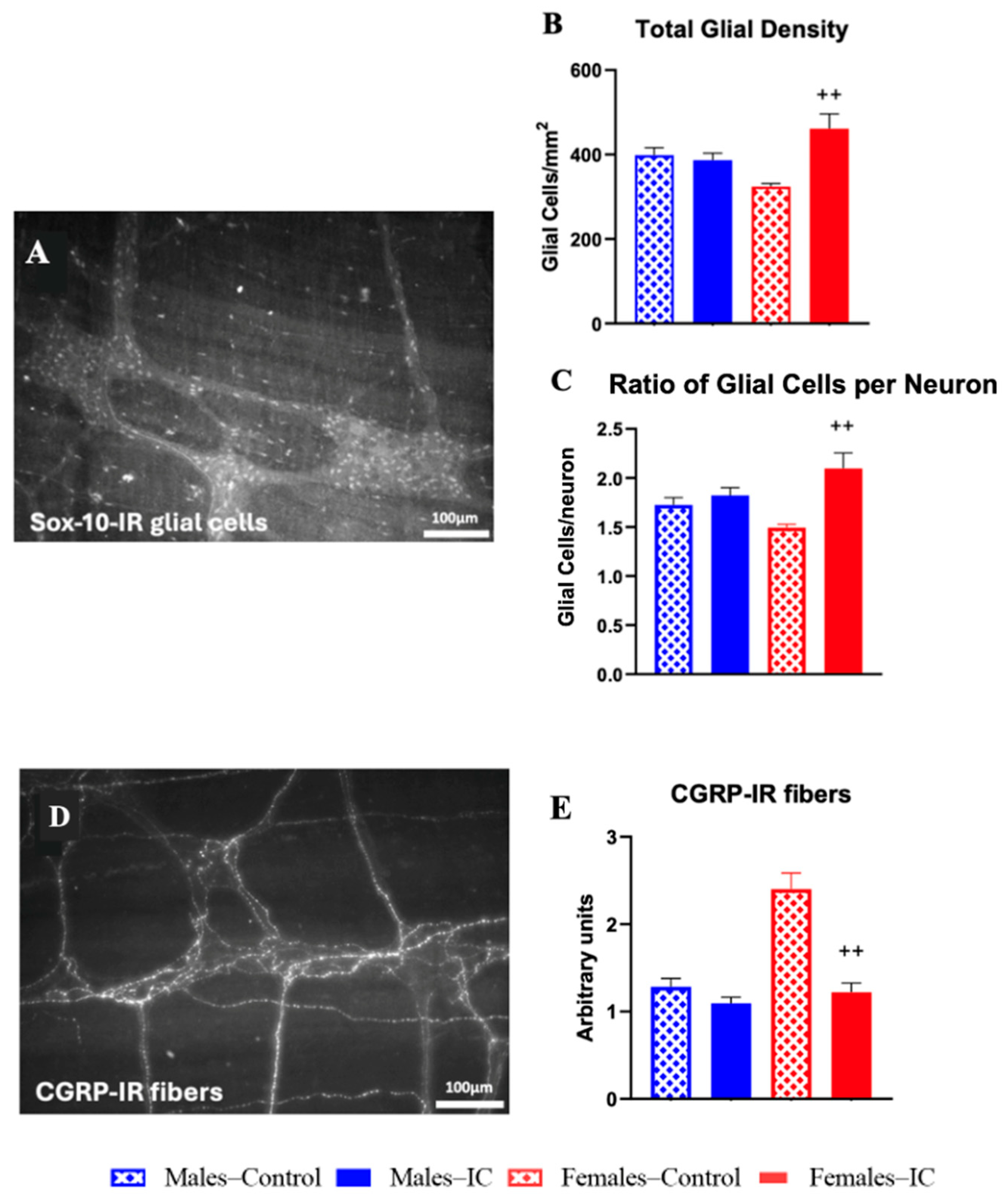 Ijms 26 10691 g003 Ijms 26 10691 g003