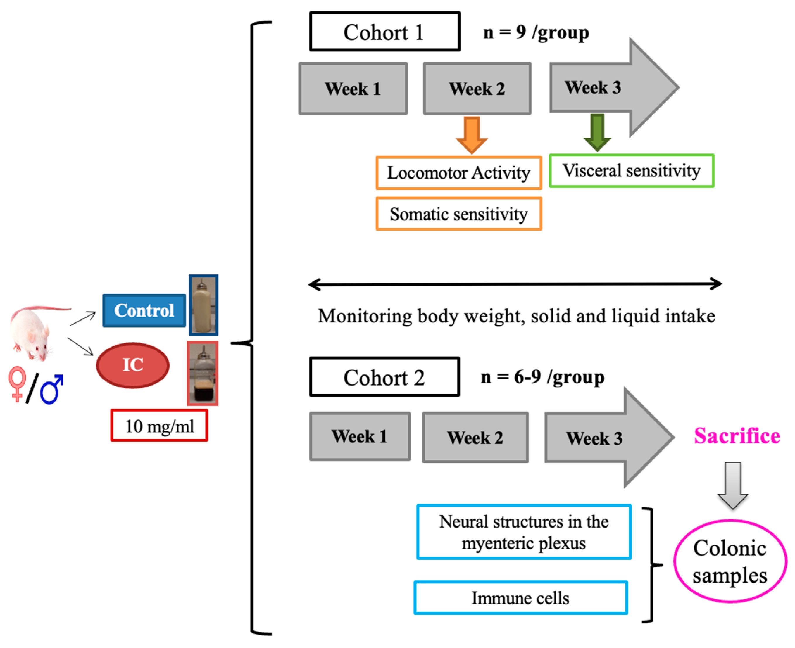 Ijms 26 10691 g005 Ijms 26 10691 g005