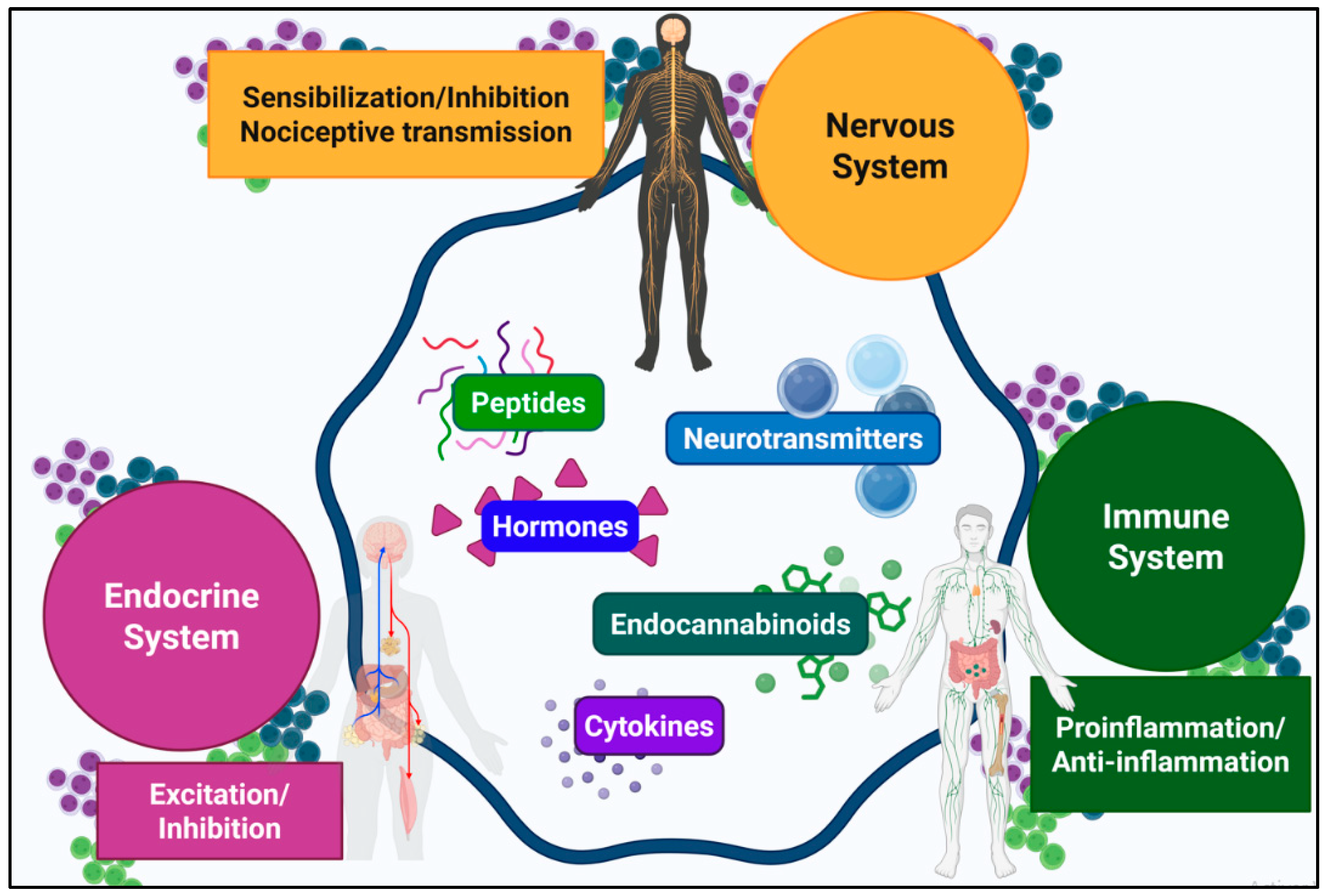Ijms 26 10692 g001 Ijms 26 10692 g001