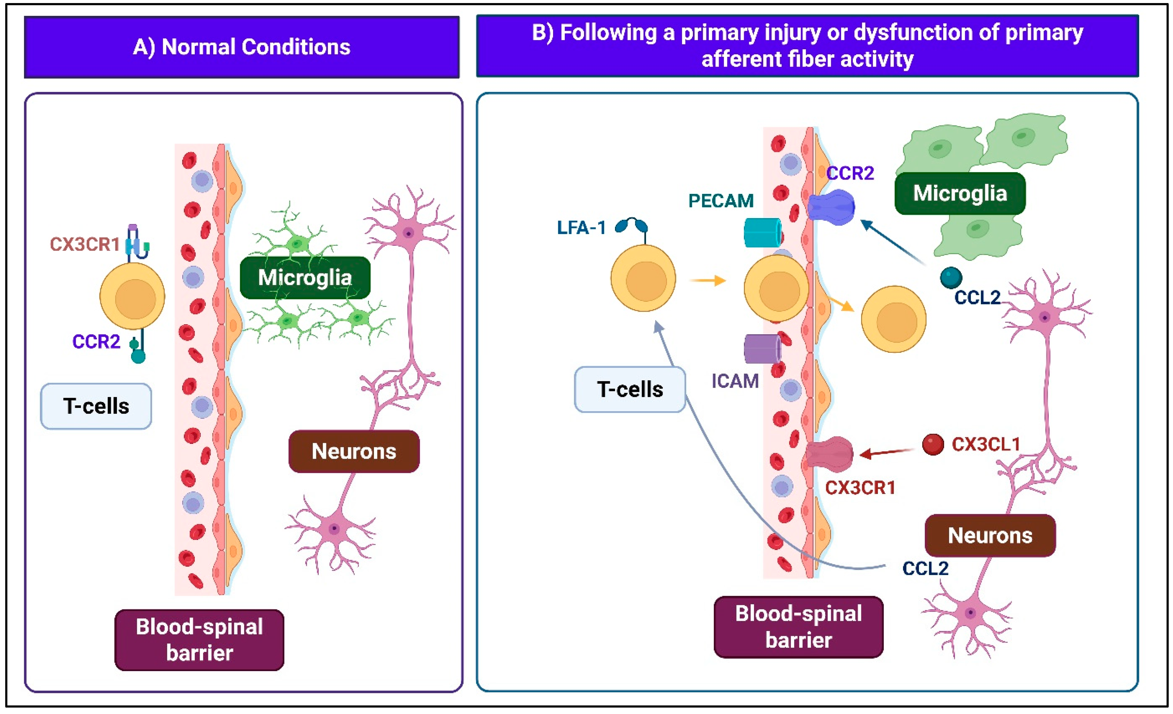Ijms 26 10692 g003 Ijms 26 10692 g003