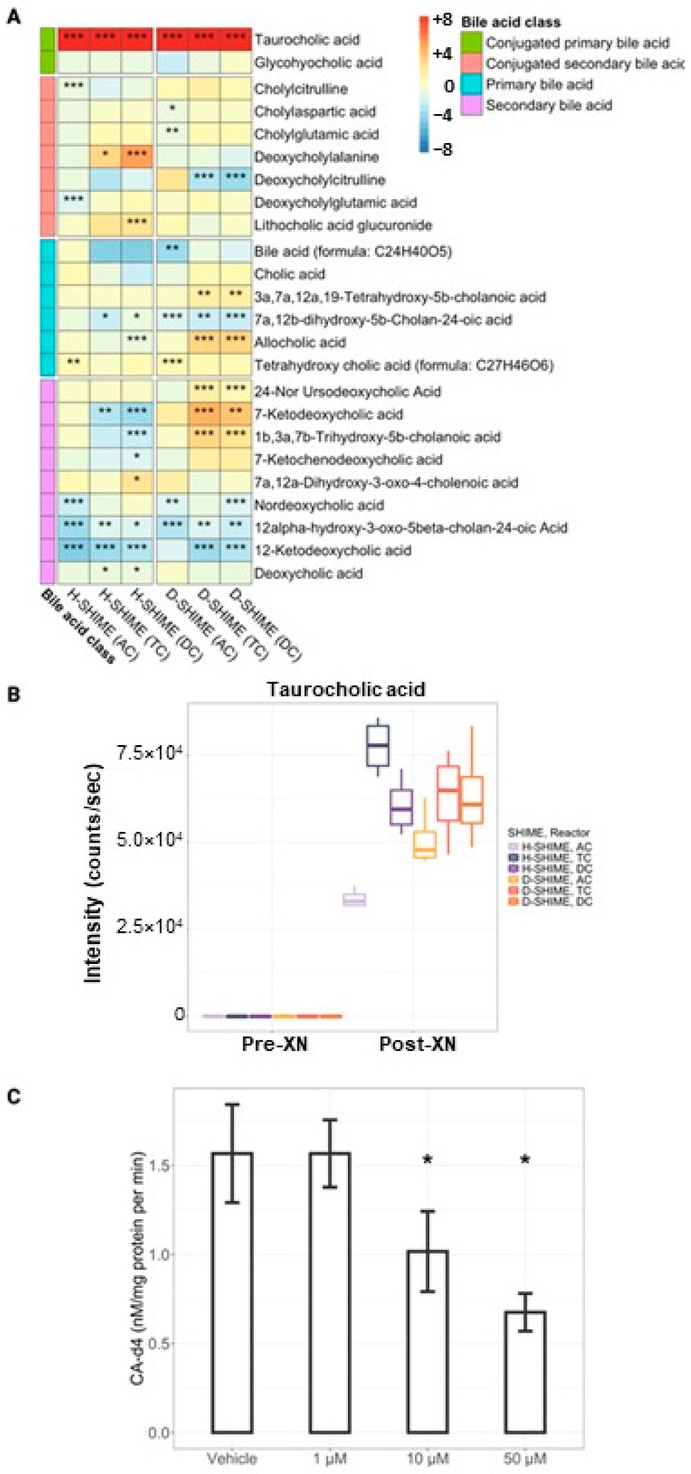 Ijms 26 10698 g005 Ijms 26 10698 g005